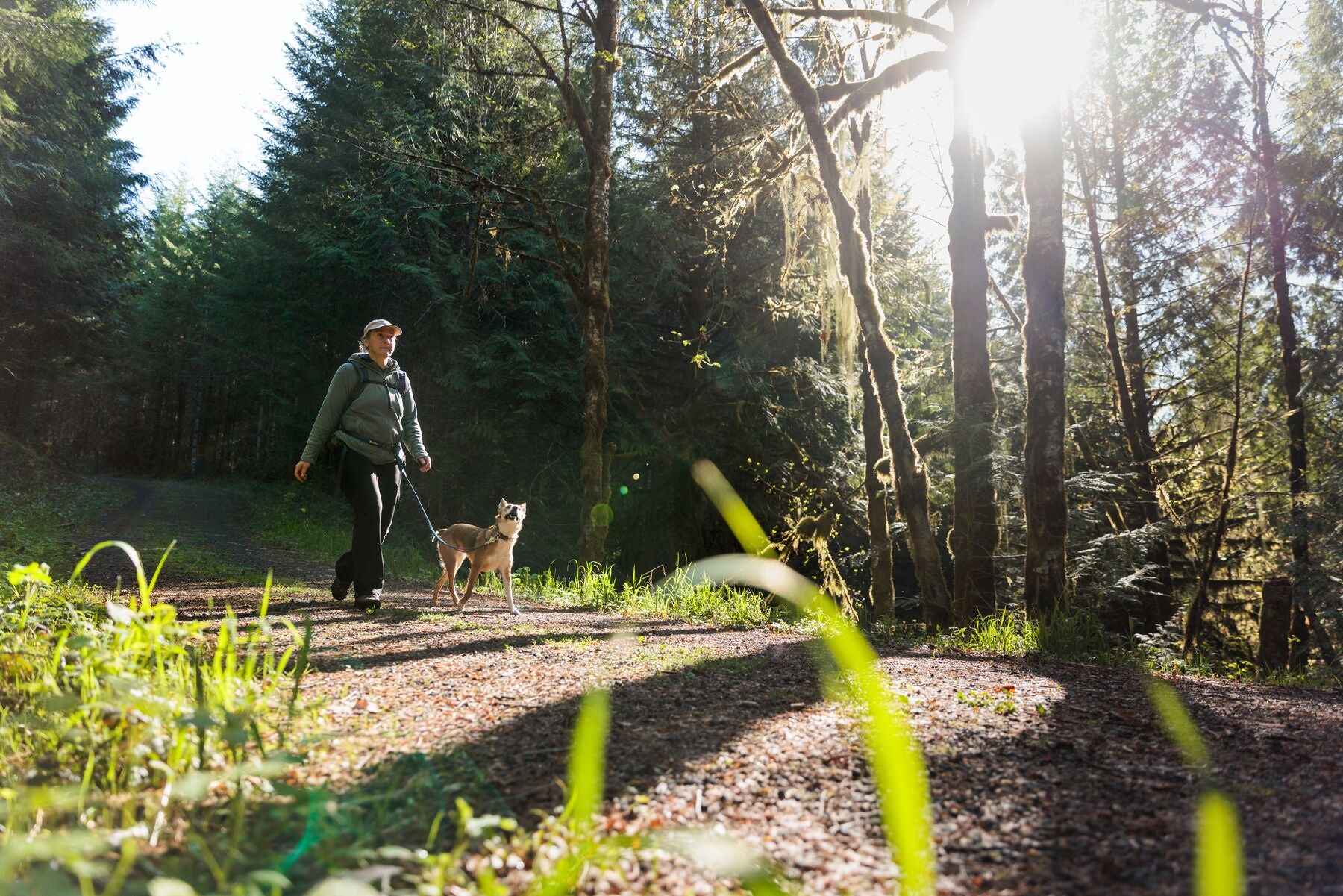 Imagen del producto 9