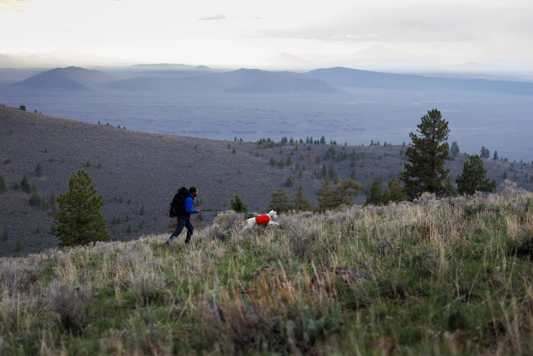 Imagen del producto 10