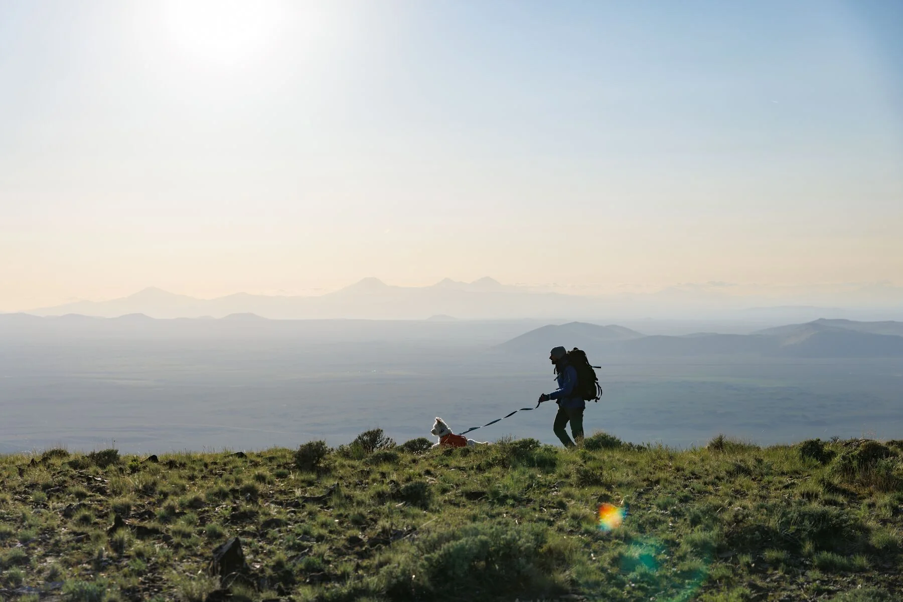 Imagen del producto 13