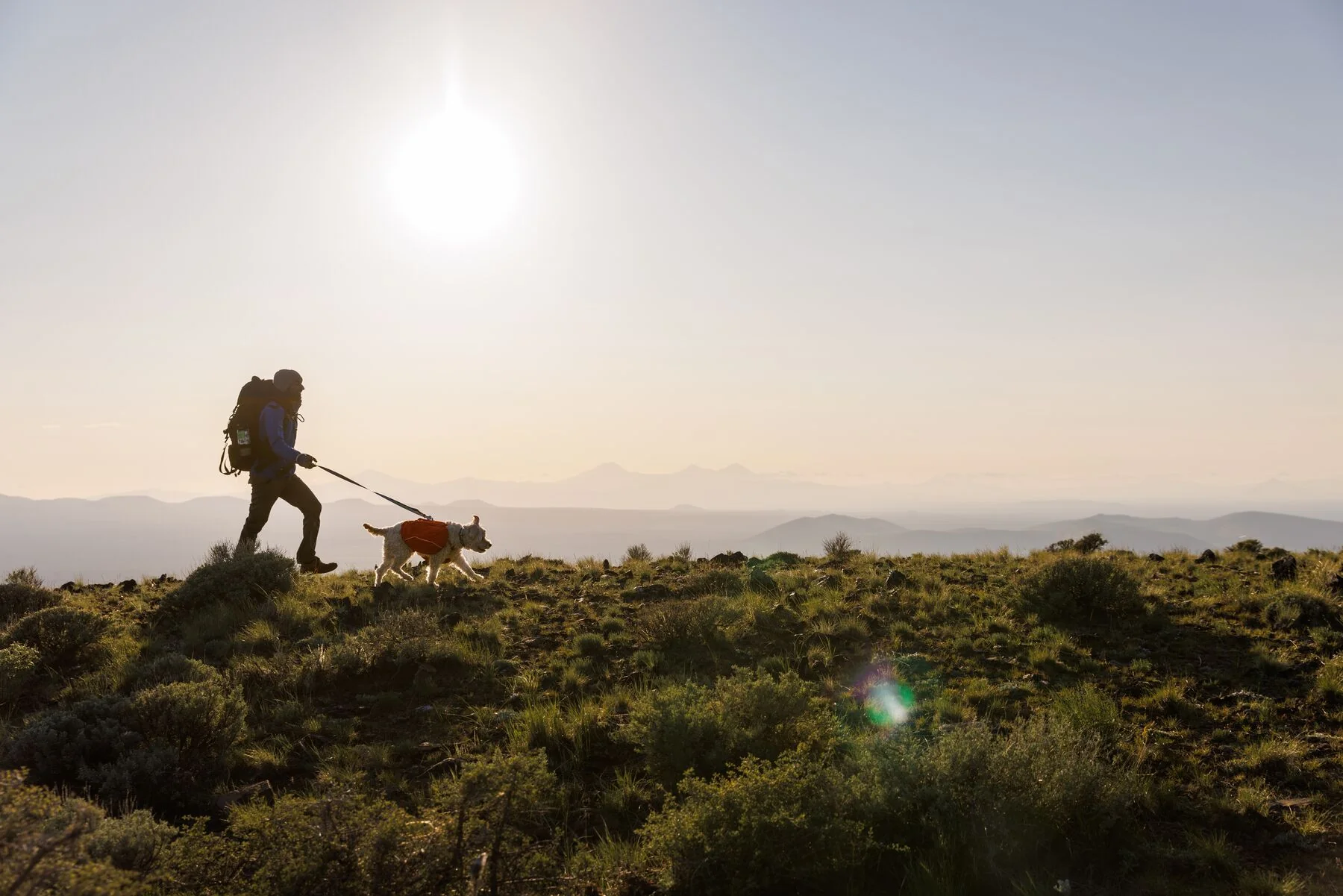 Imagen del producto 14