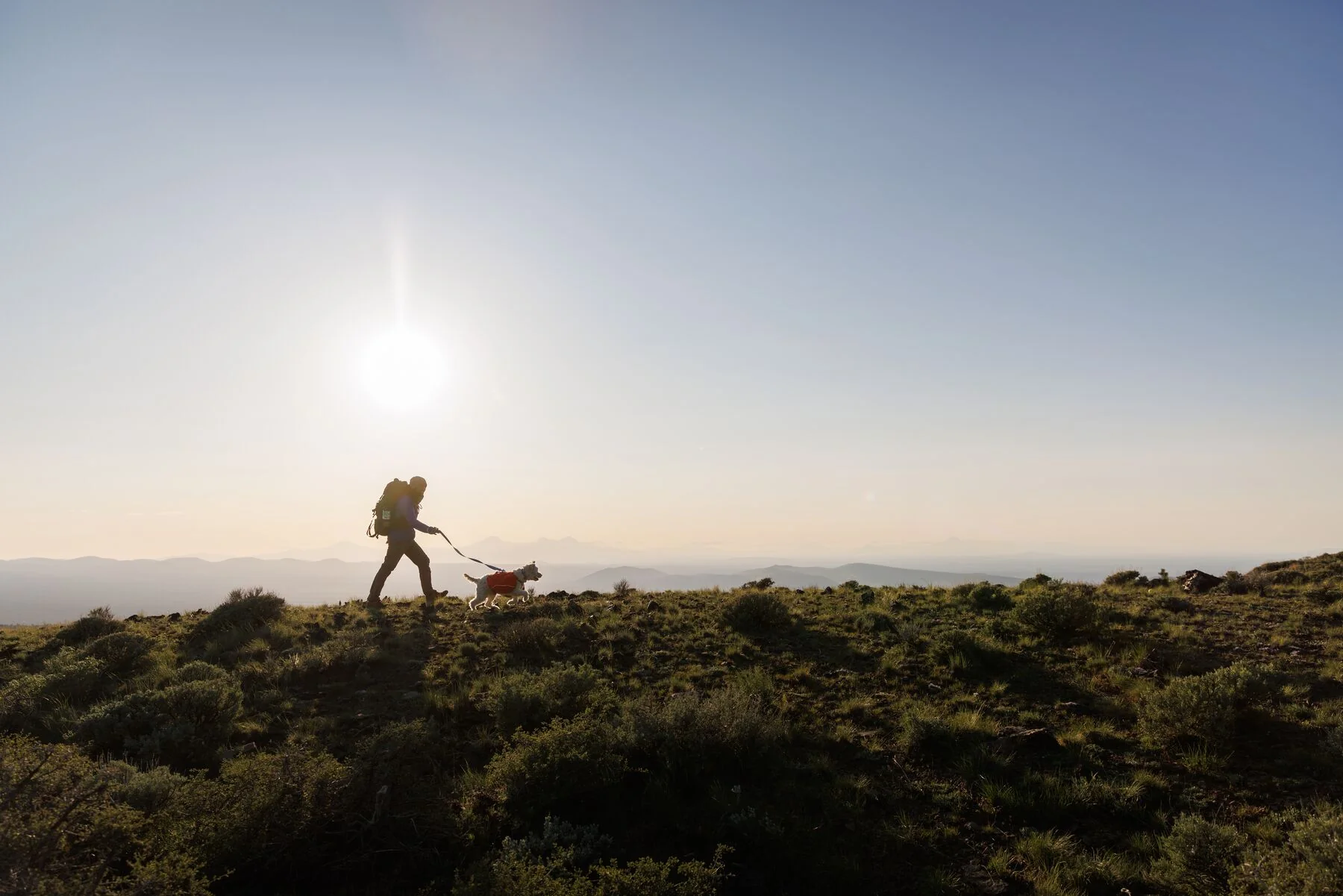 Imagen del producto 15