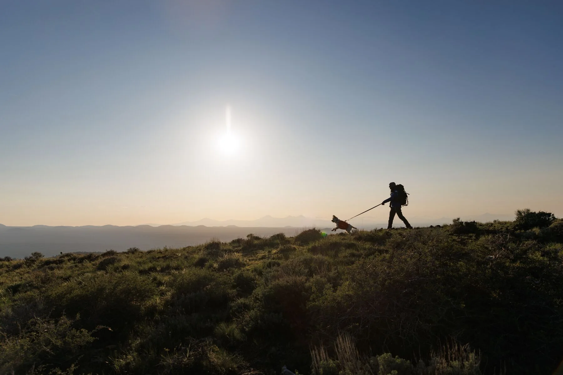 Imagen del producto 16