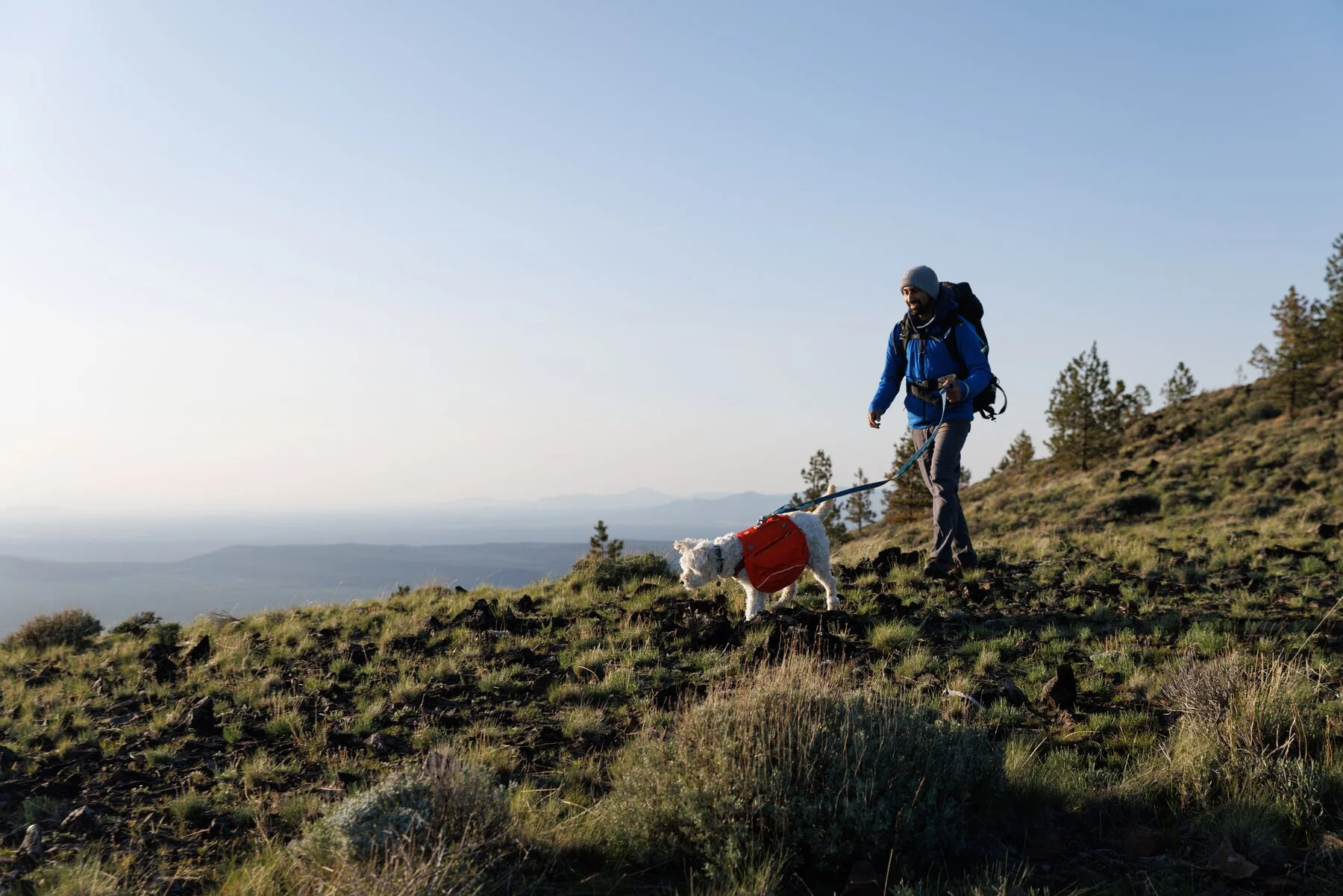 Imagen del producto 18