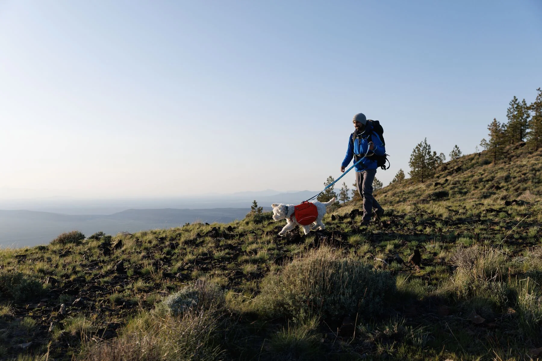 Imagen del producto 19