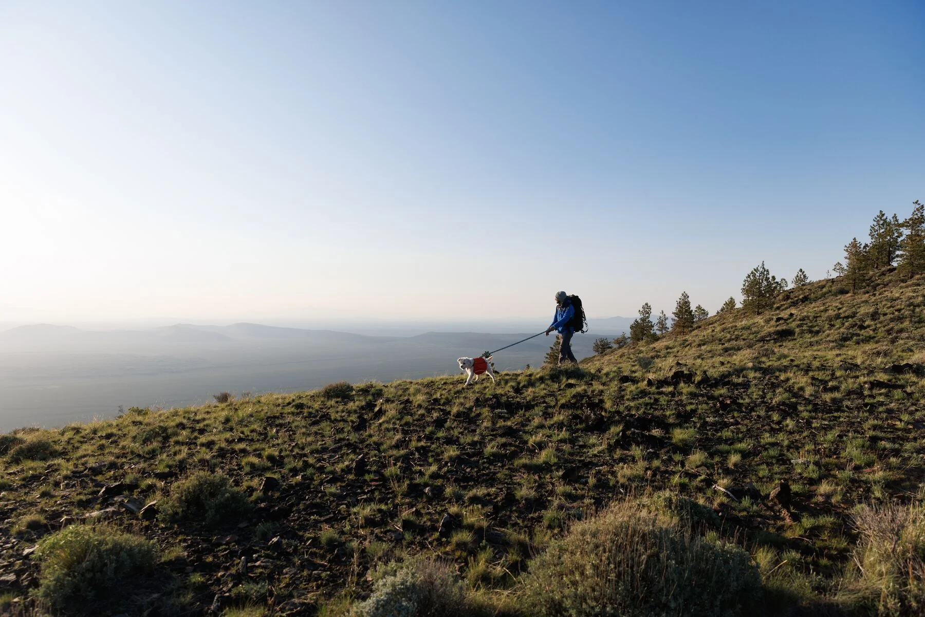 Imagen del producto 21