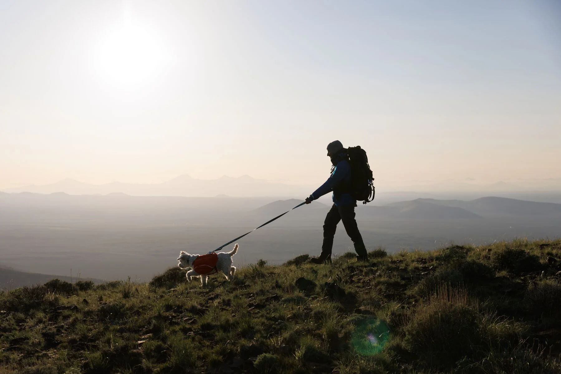 Imagen del producto 22