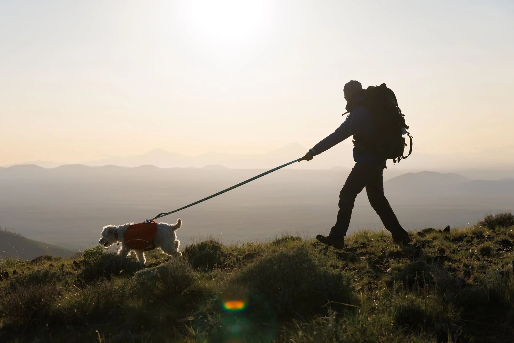 Imagen del producto 23