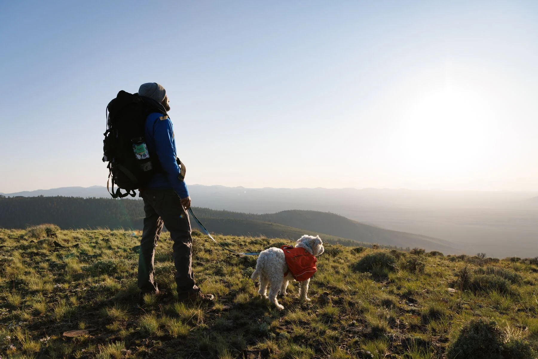 Imagen del producto 25