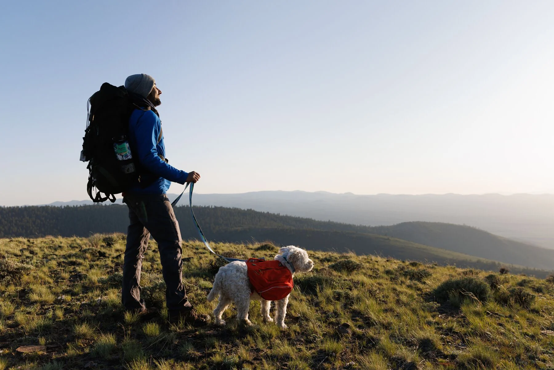 Imagen del producto 26