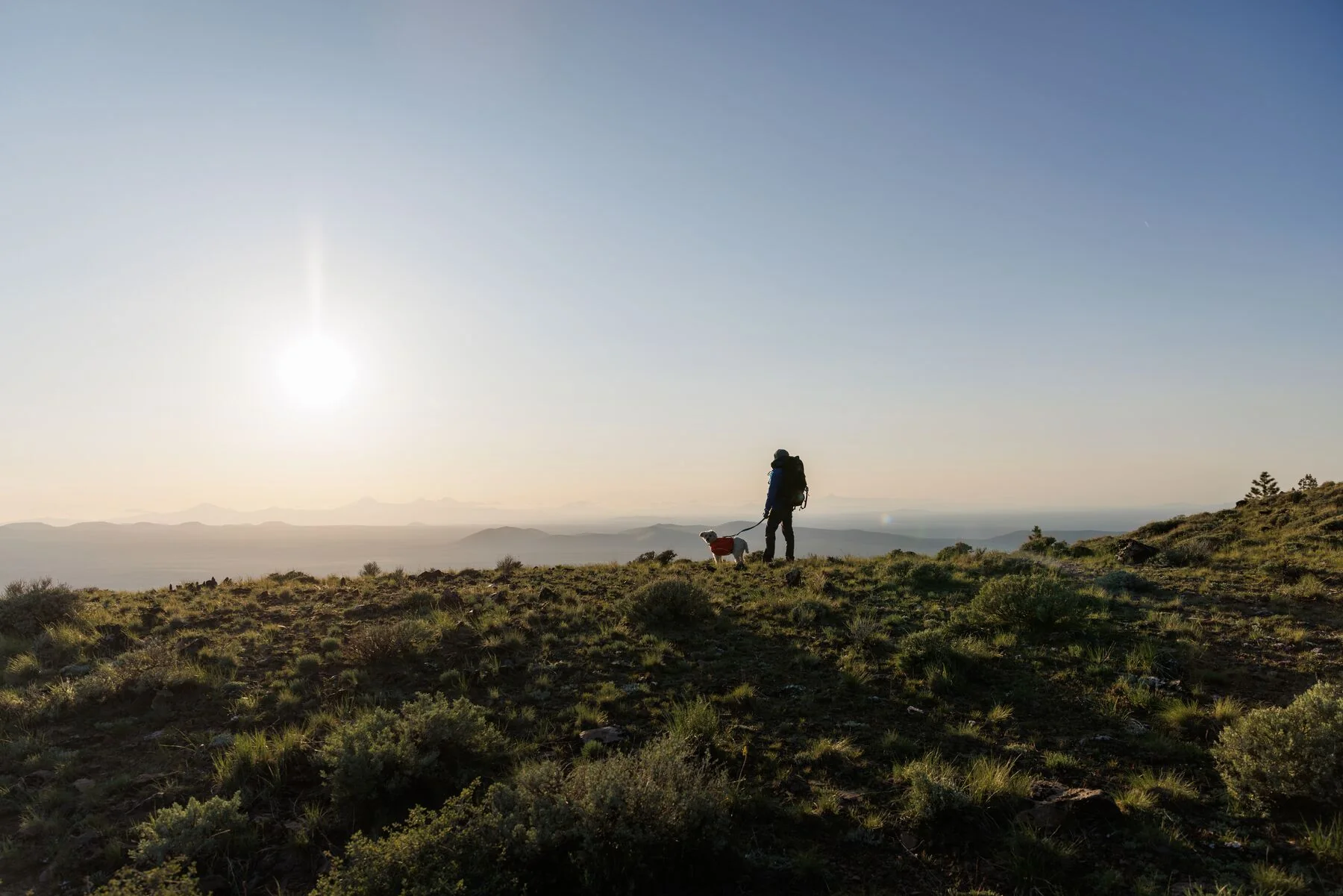 Imagen del producto 28