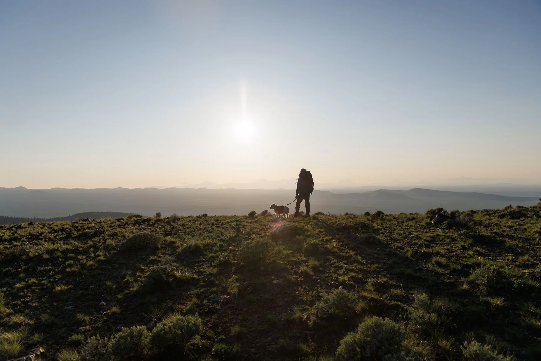 Imagen del producto 29