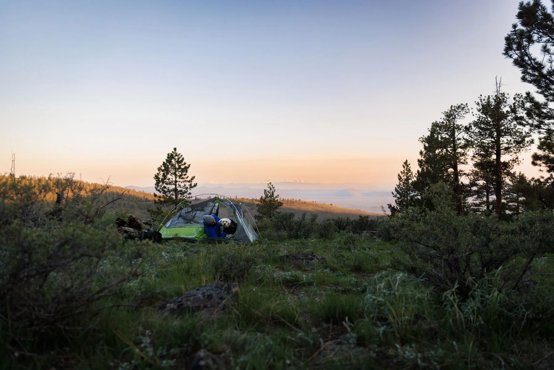 Imagen del producto 33