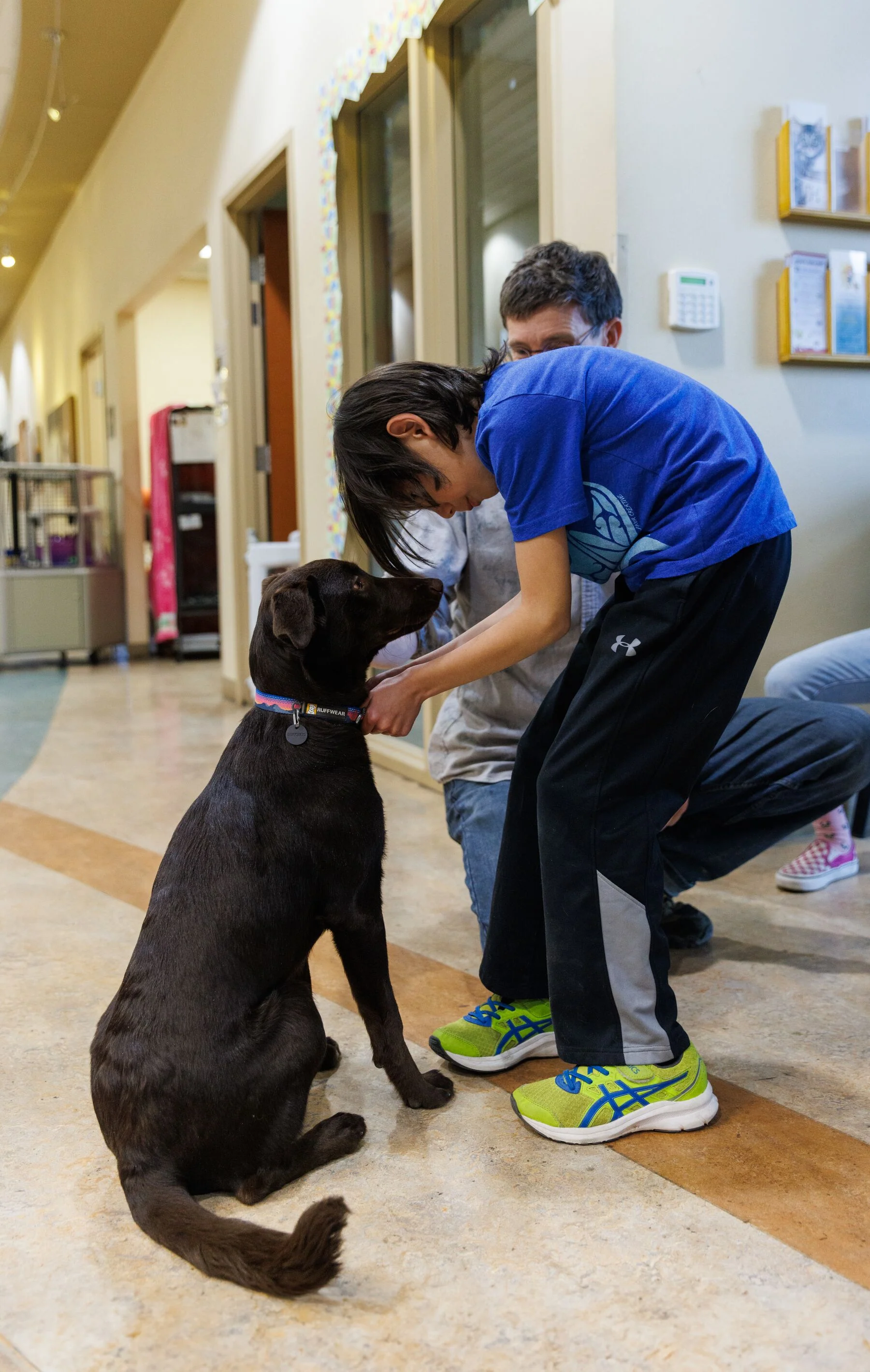 Imagen del producto 12