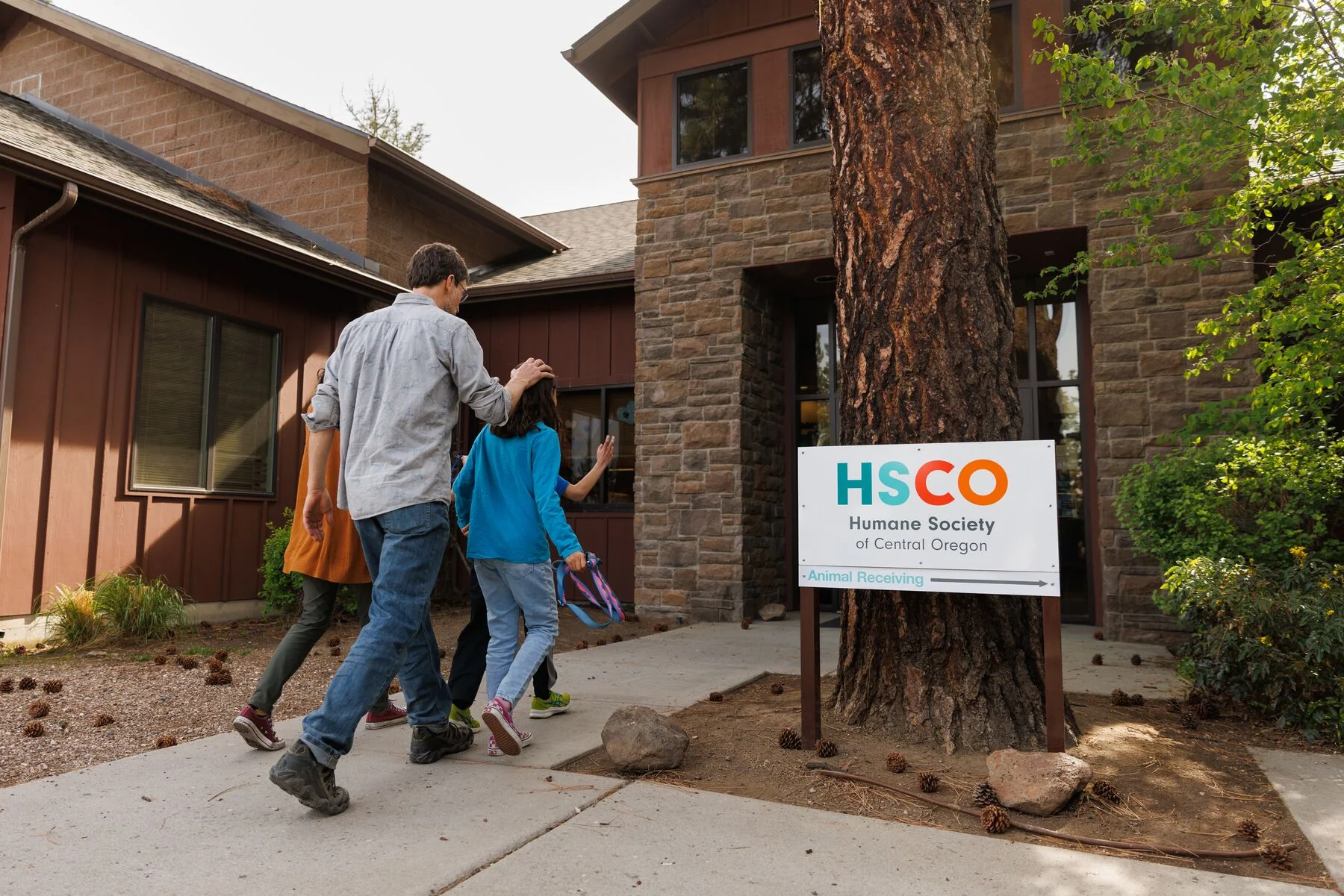 Imagen del producto 8