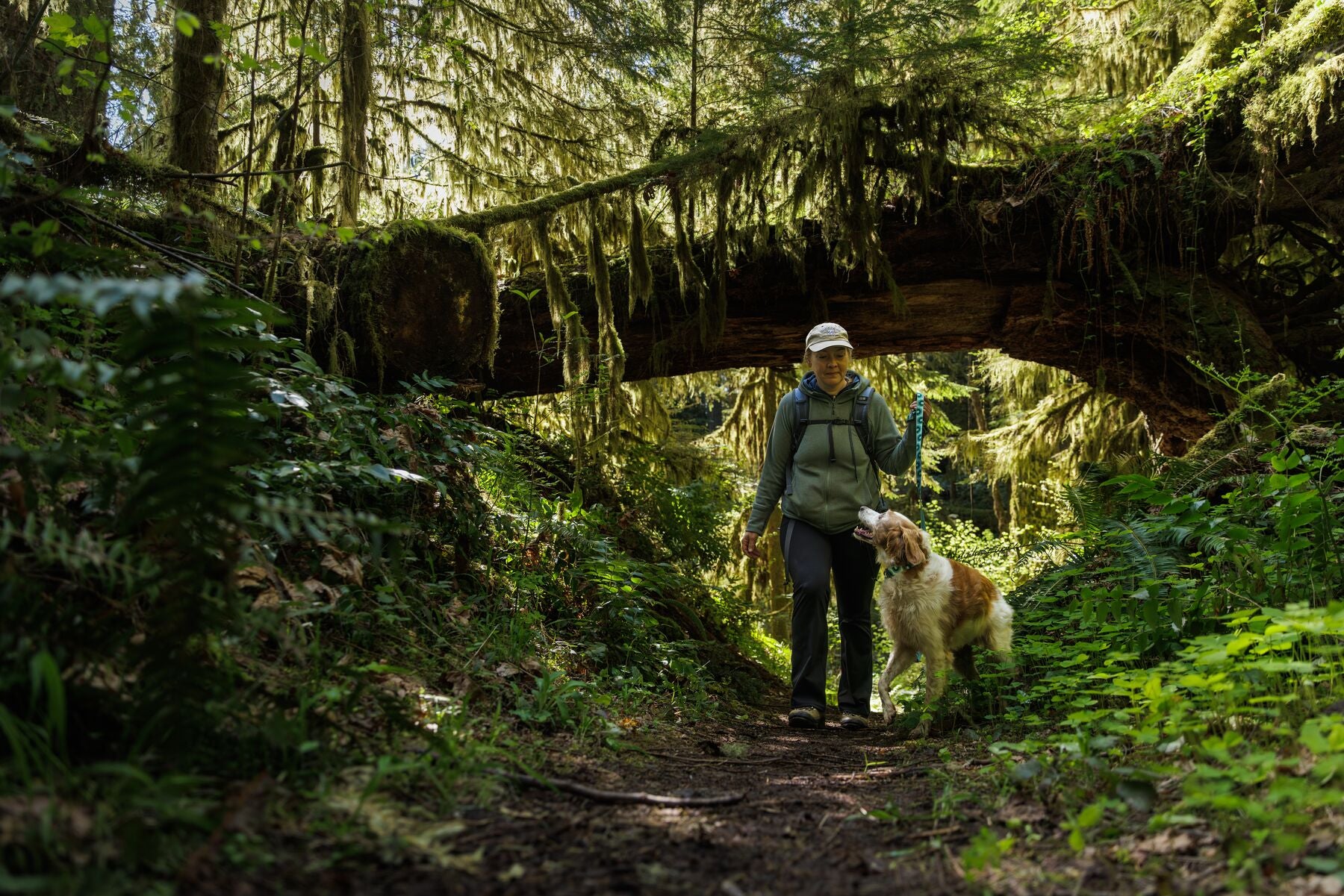 Imagen del producto 13