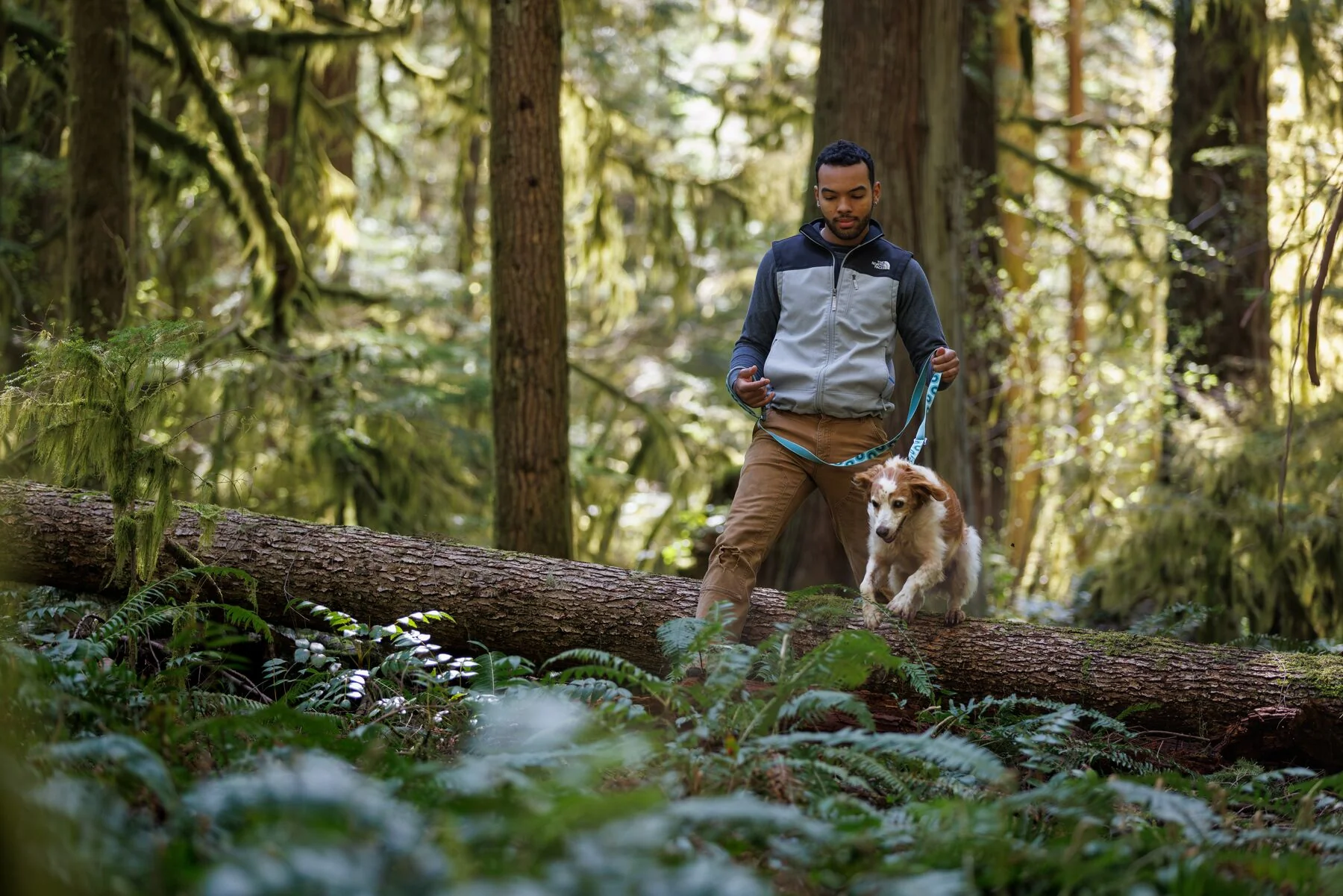 Imagen del producto 20