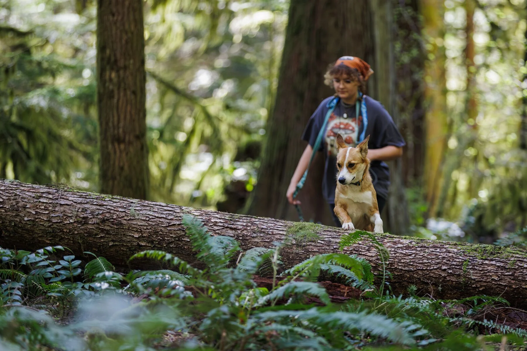 Imagen del producto 11