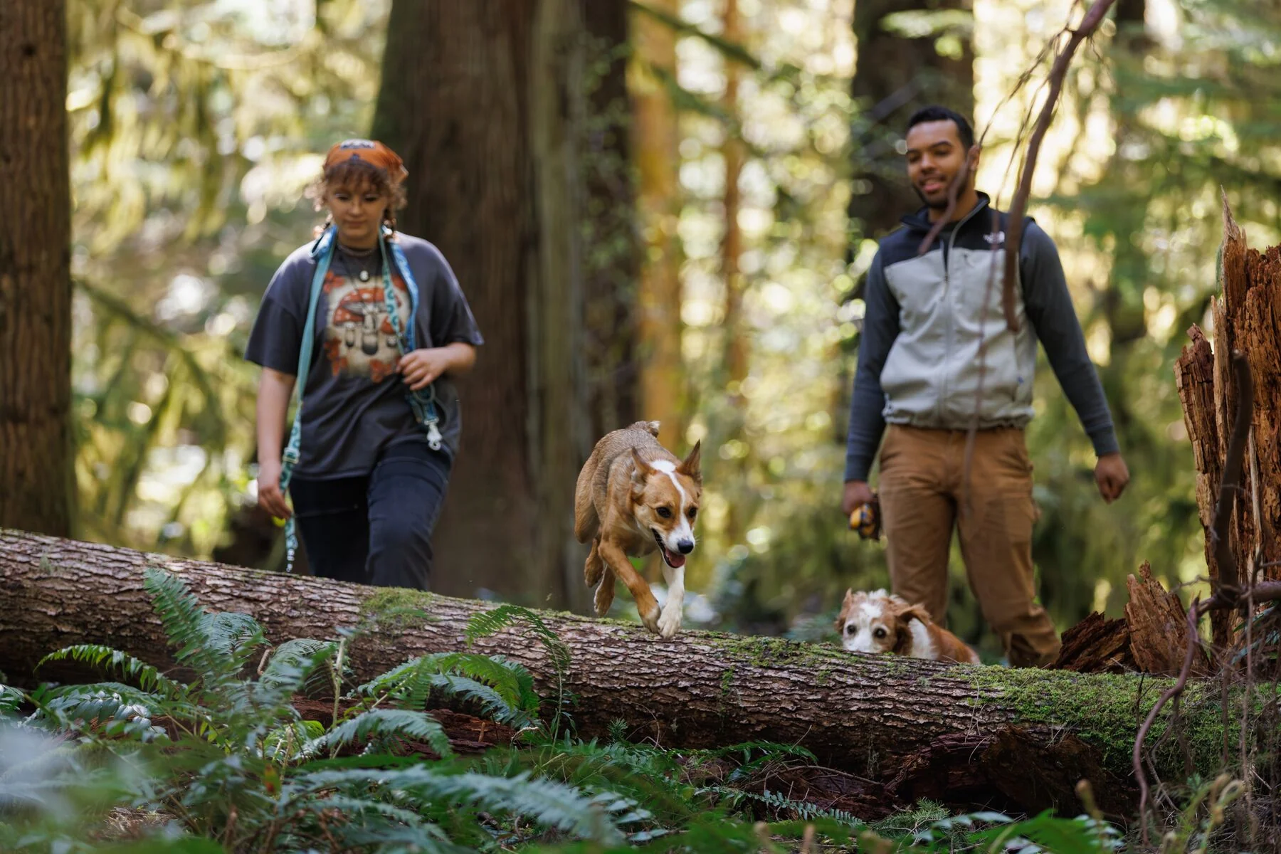 Imagen del producto 12