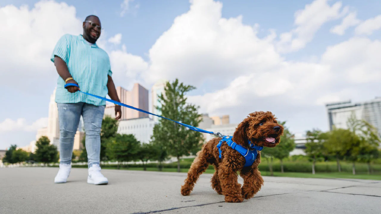 Imagen del producto 7