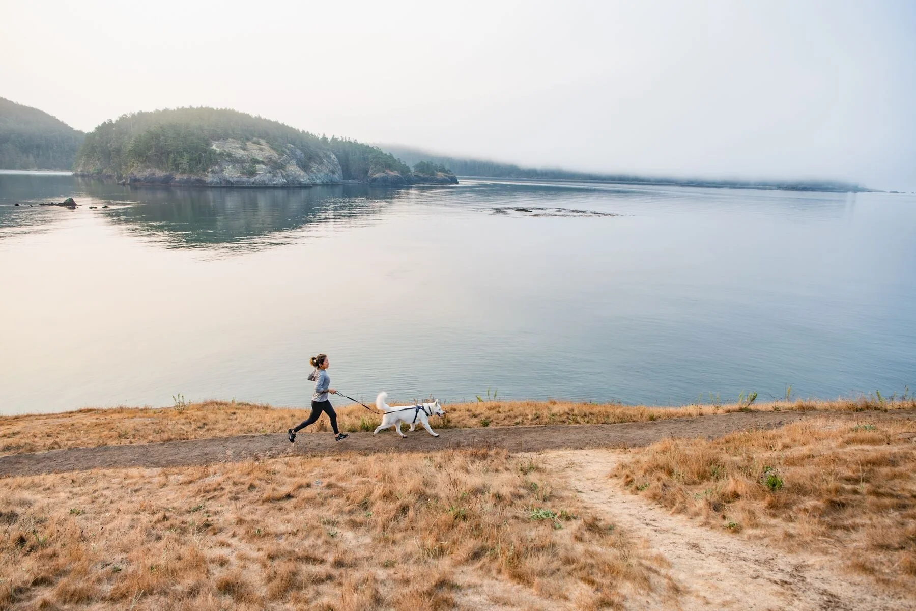 Imagen del producto 12