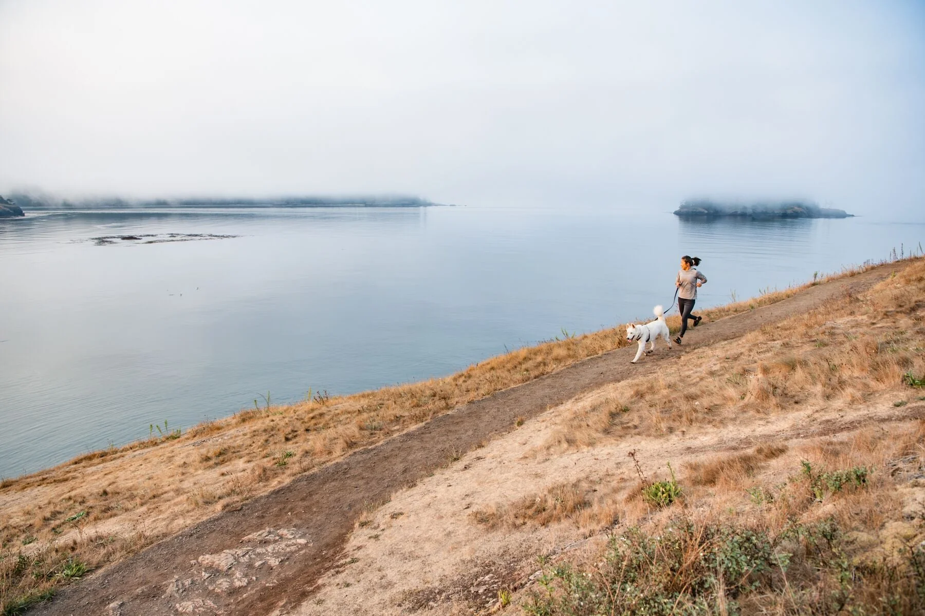 Imagen del producto 13