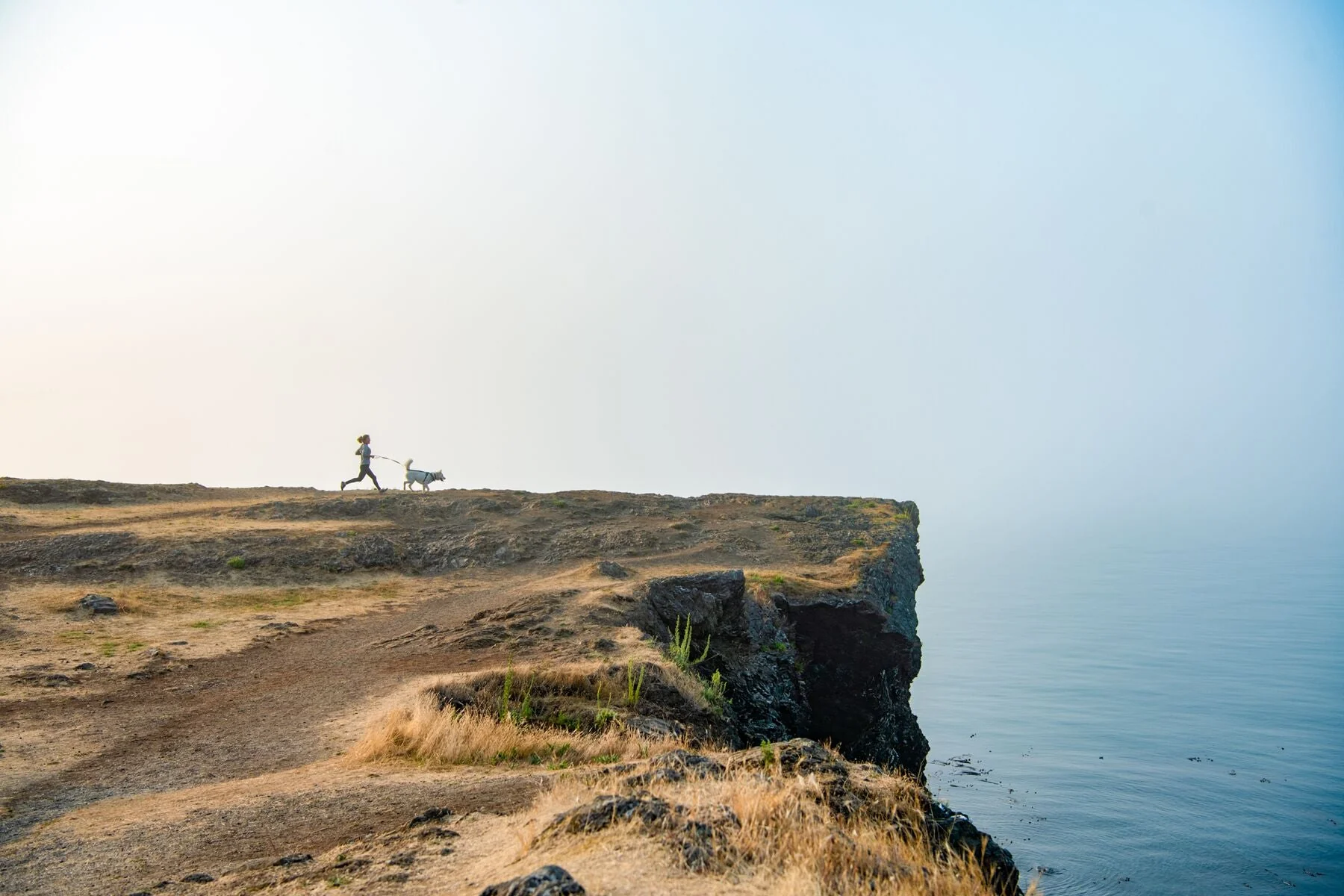 Imagen del producto 16