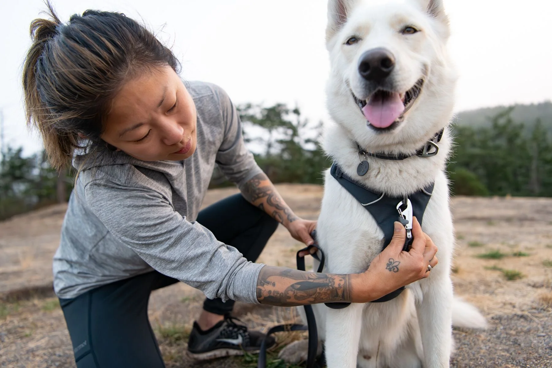 Imagen del producto 7