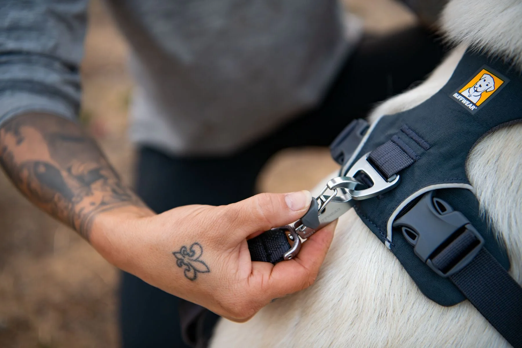 Imagen del producto 8