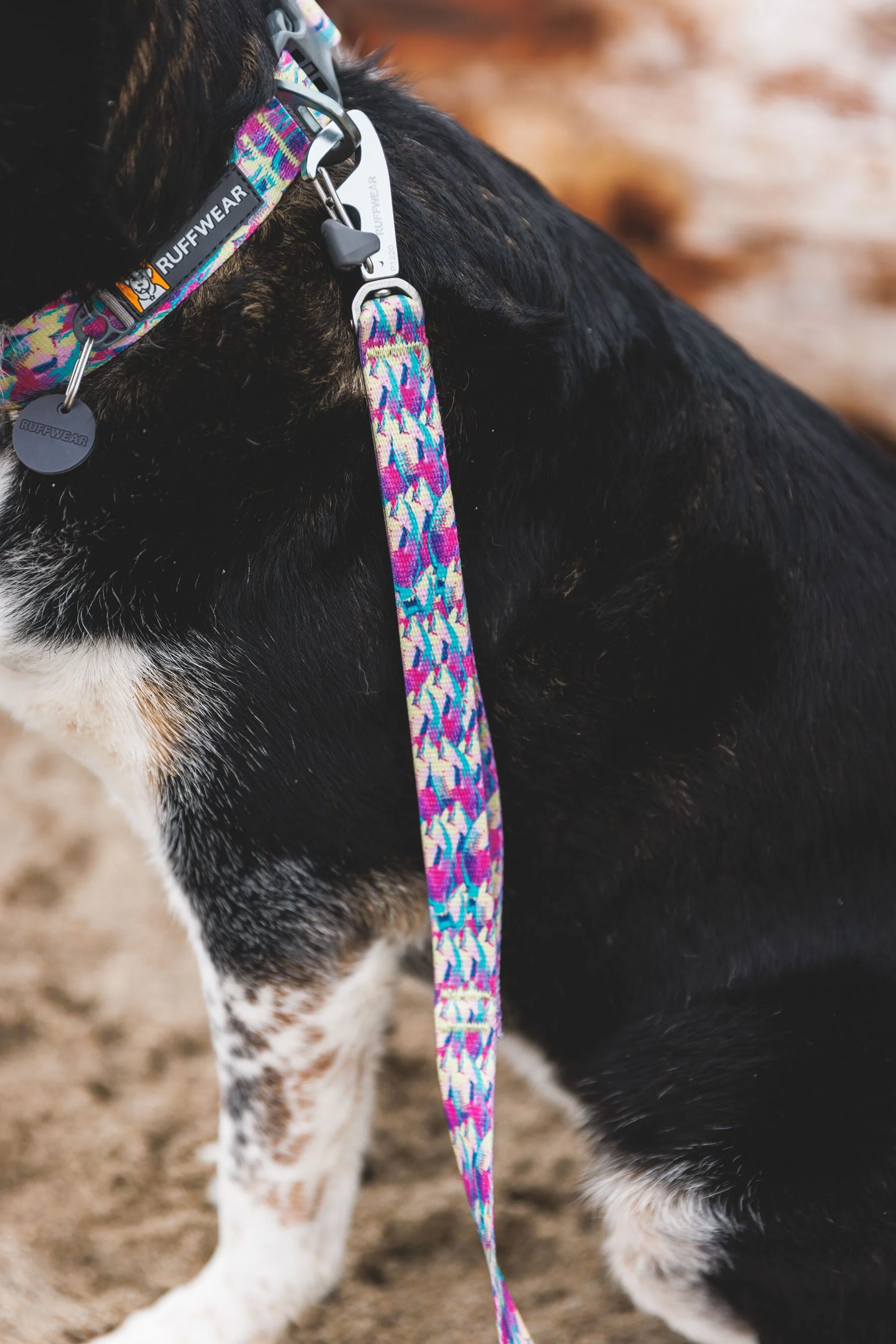 Imagen del producto 15