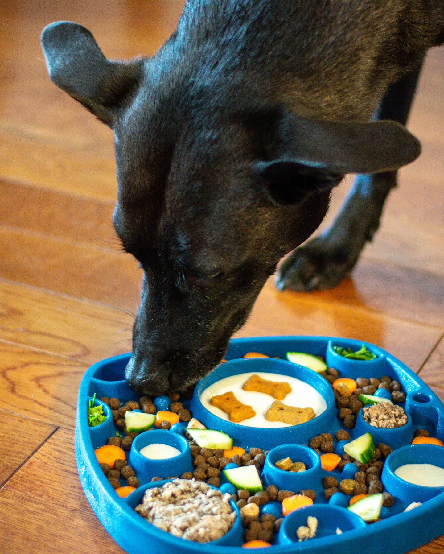 Imagen del producto 6