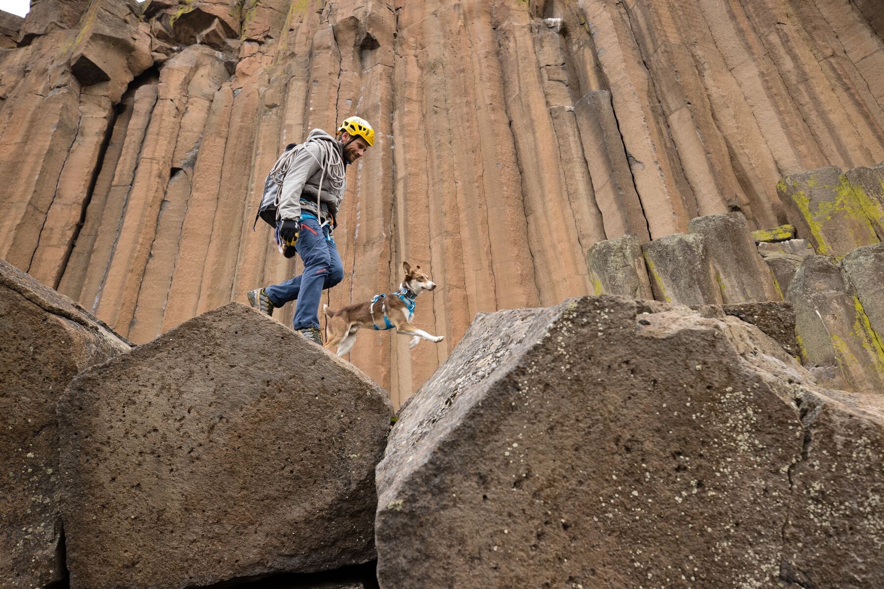 Imagen del producto 37