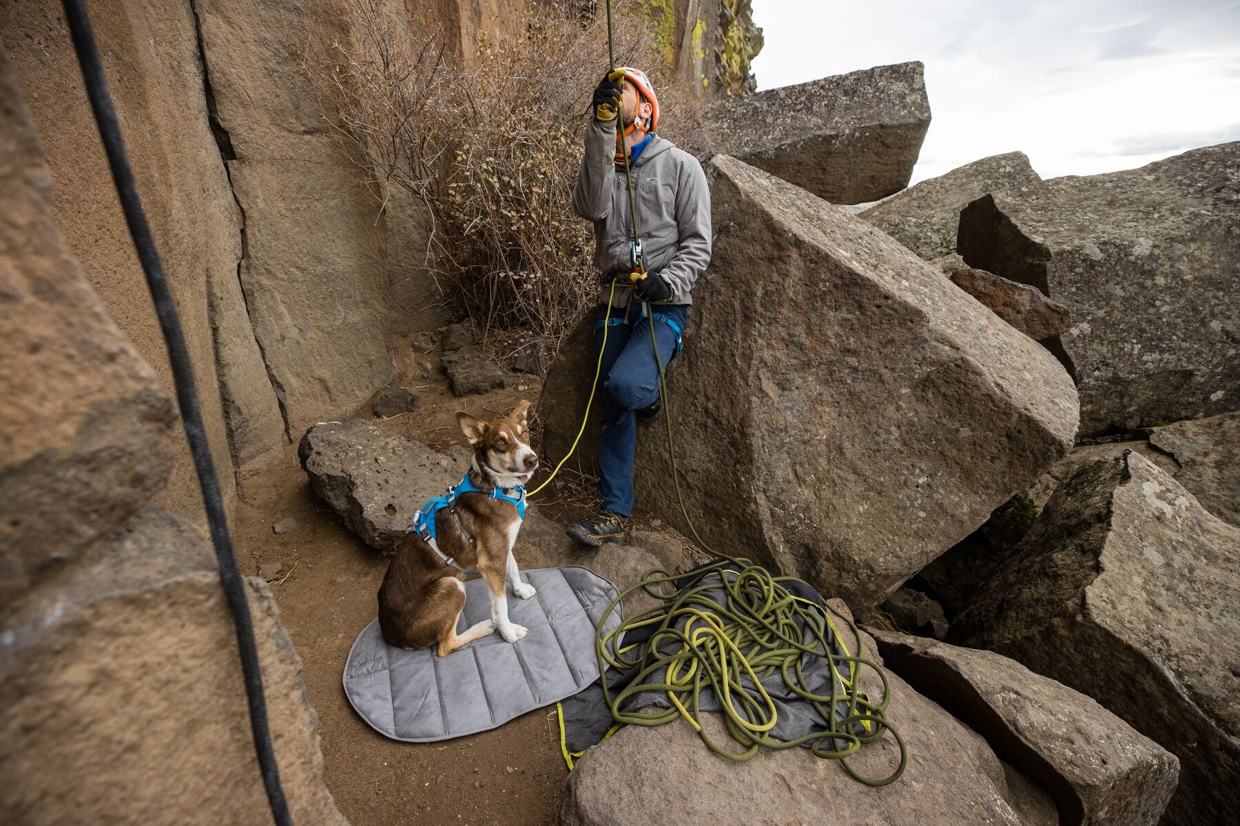 Imagen del producto 41