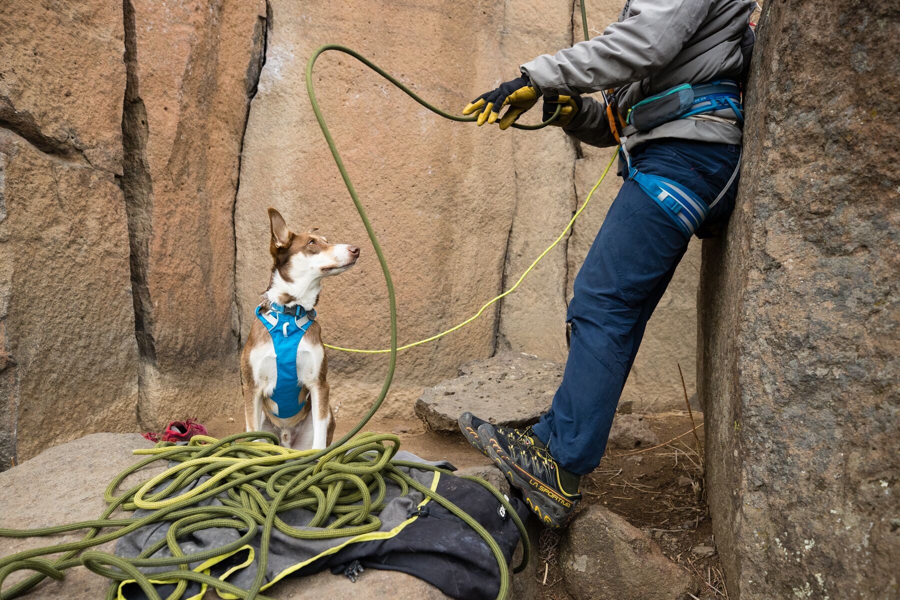 Imagen del producto 42