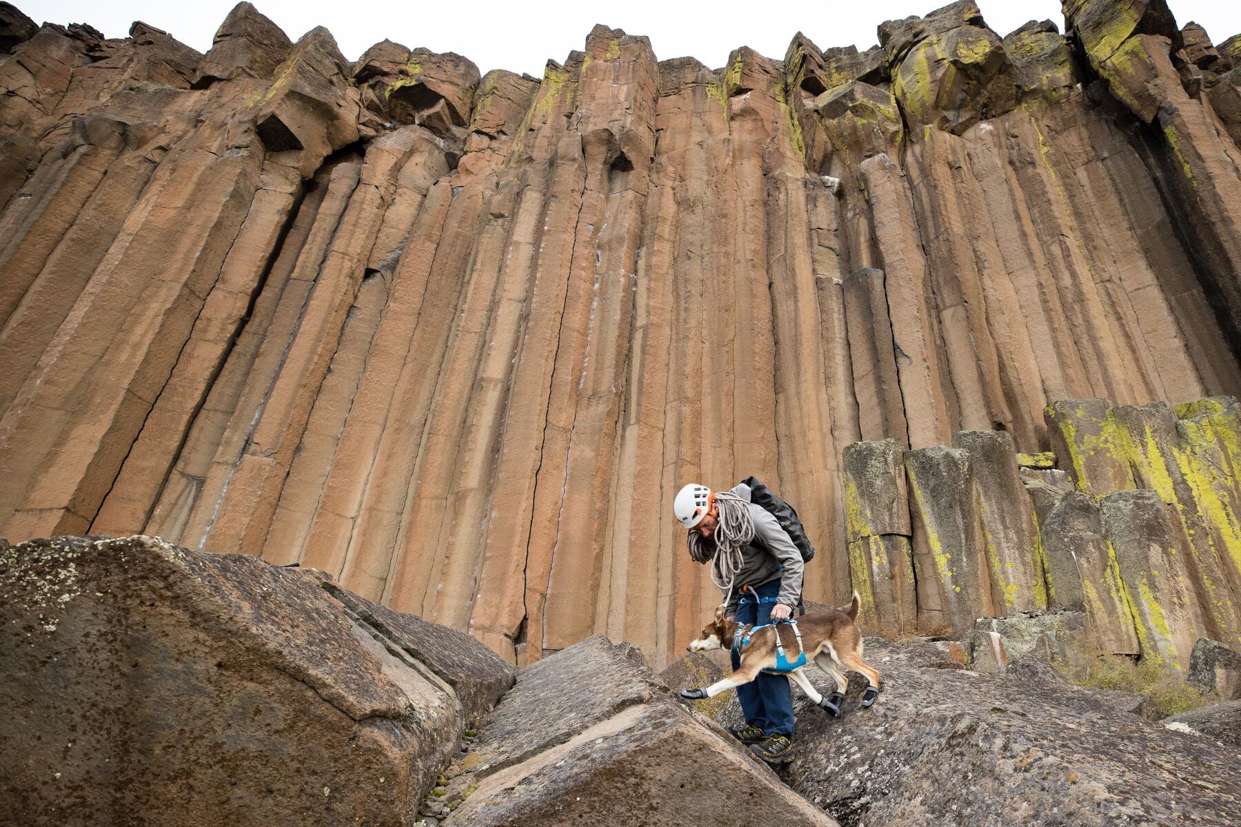 Imagen del producto 49