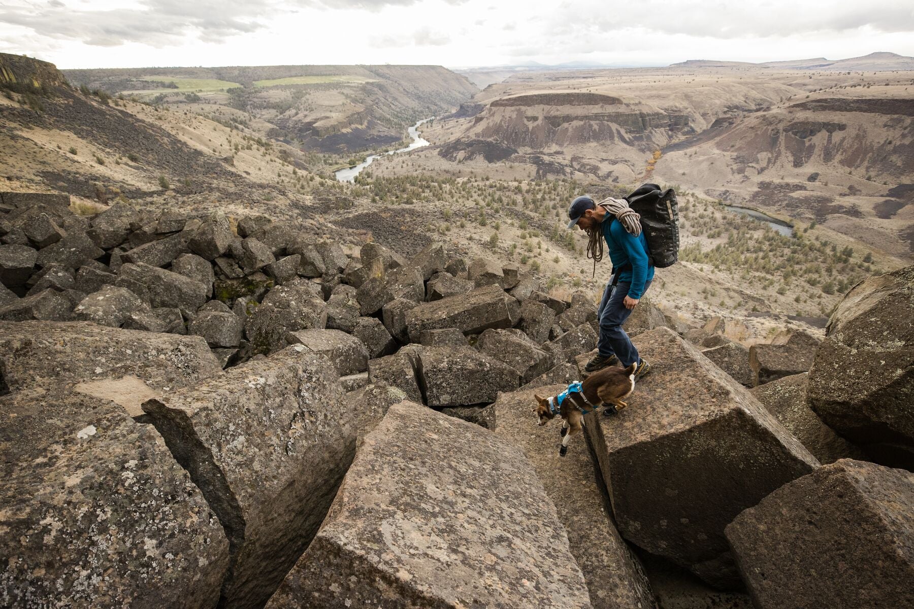 Imagen del producto 59