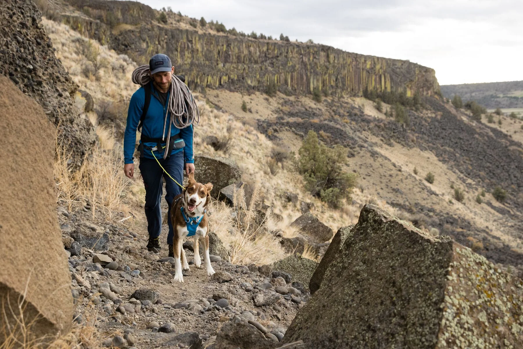 Imagen del producto 65