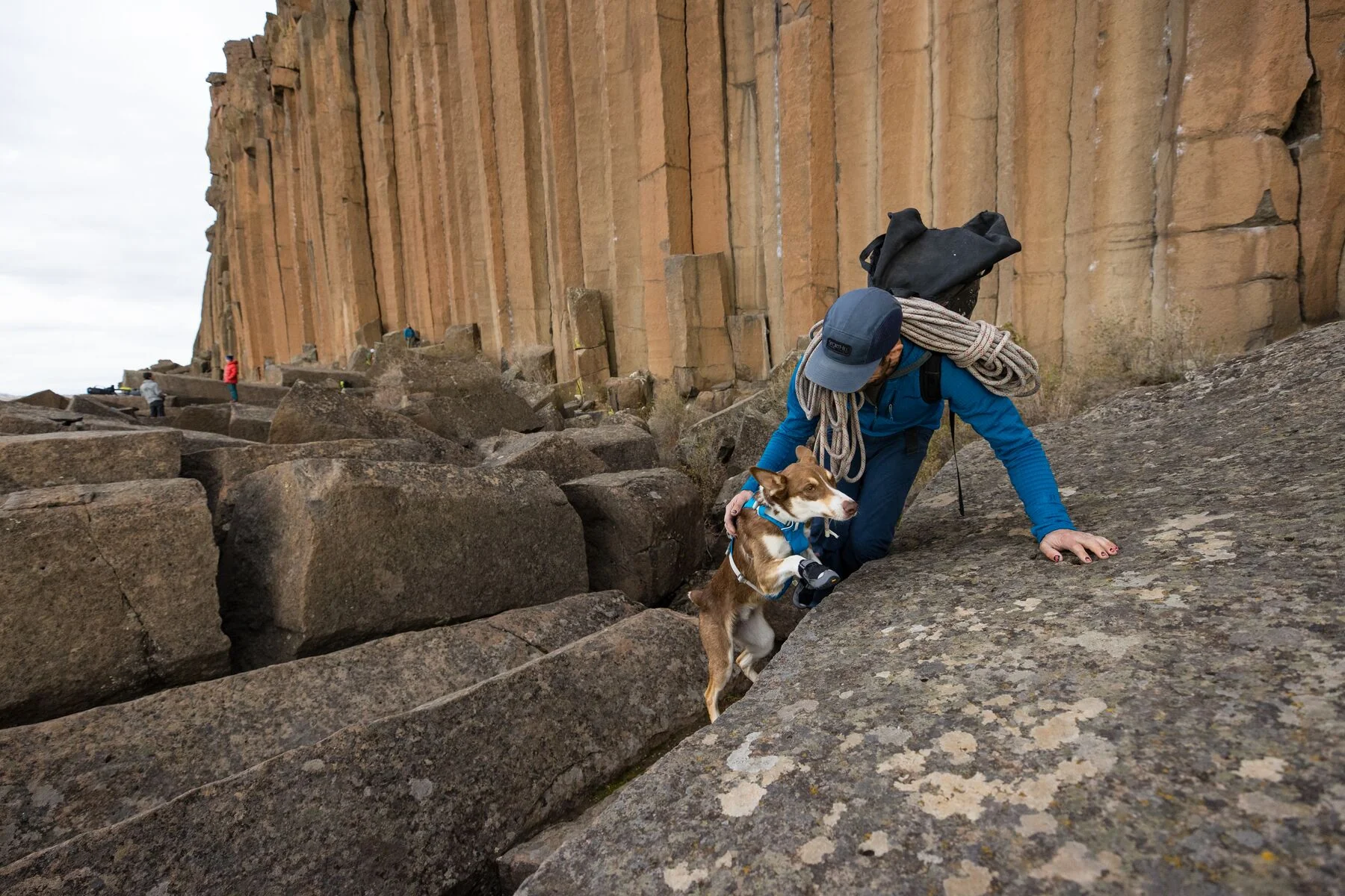 Imagen del producto 75