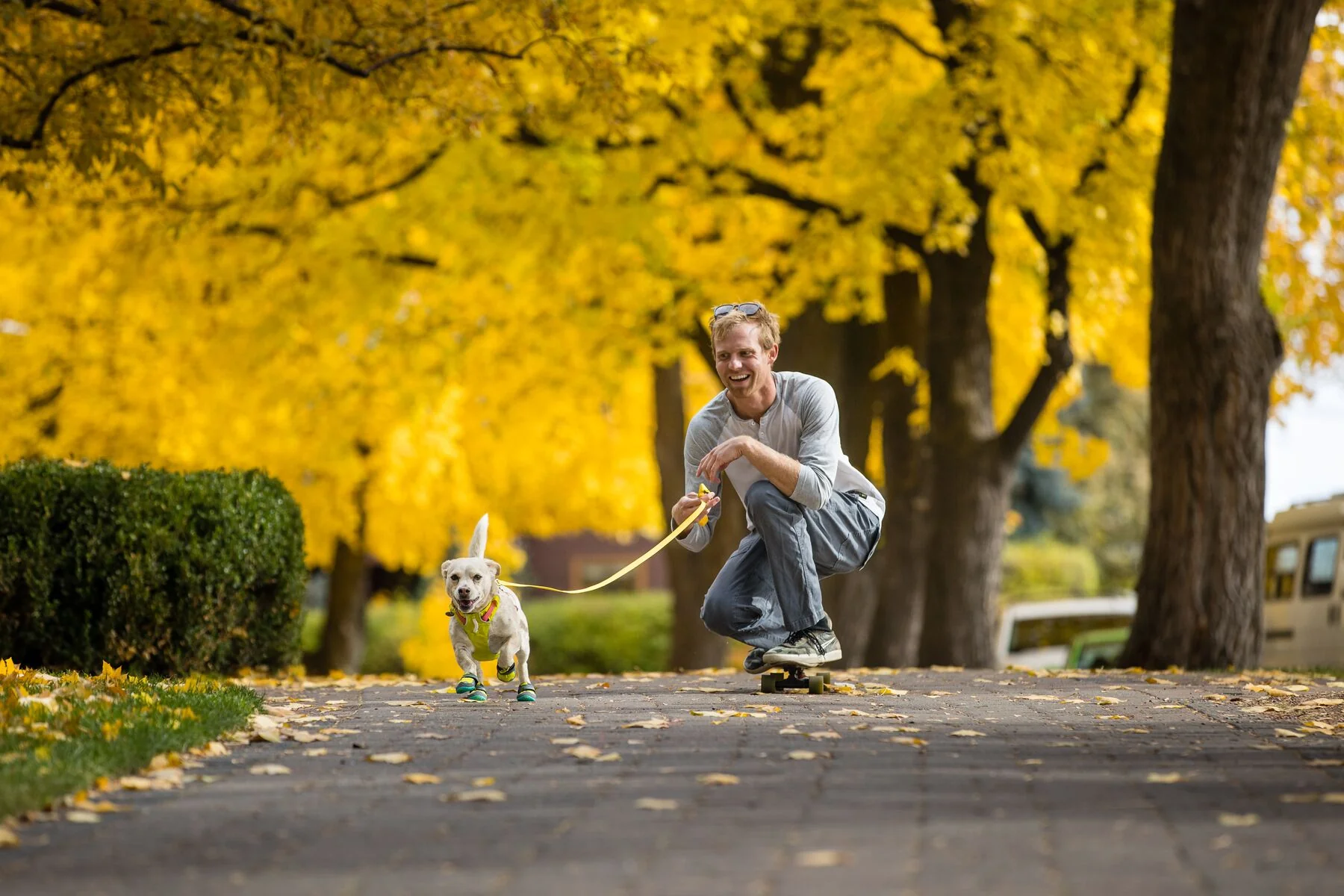 Imagen del producto 79