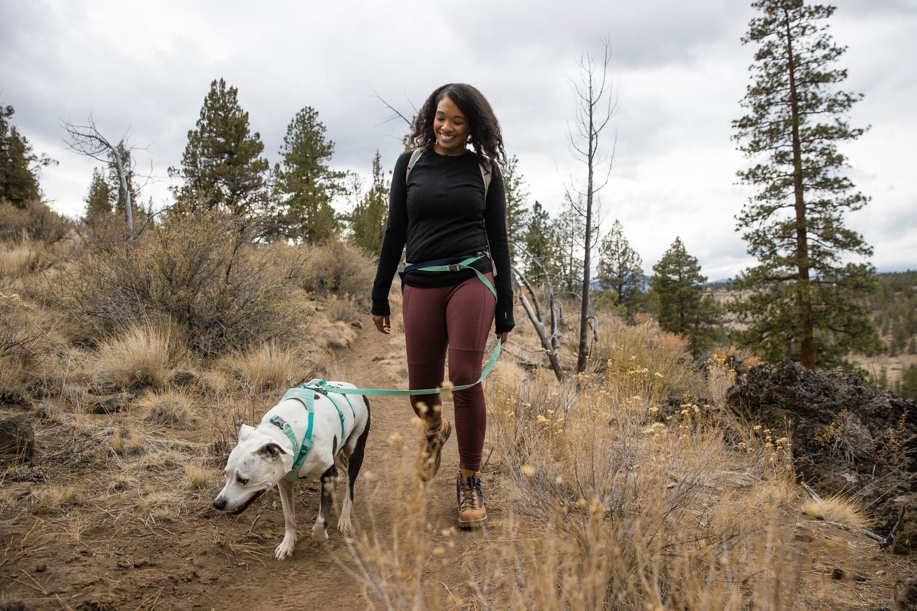 Imagen del producto 89