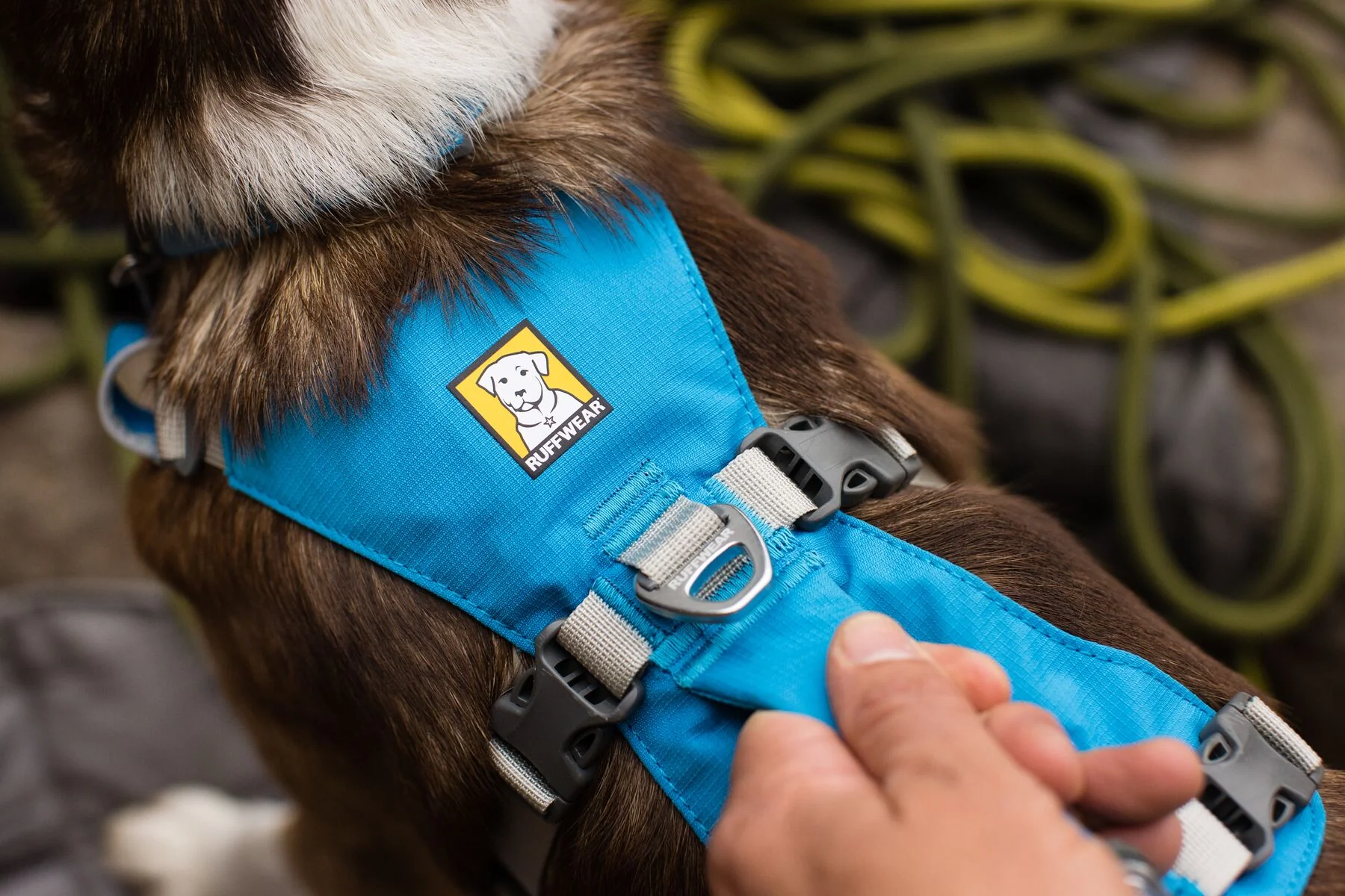 Imagen del producto 16