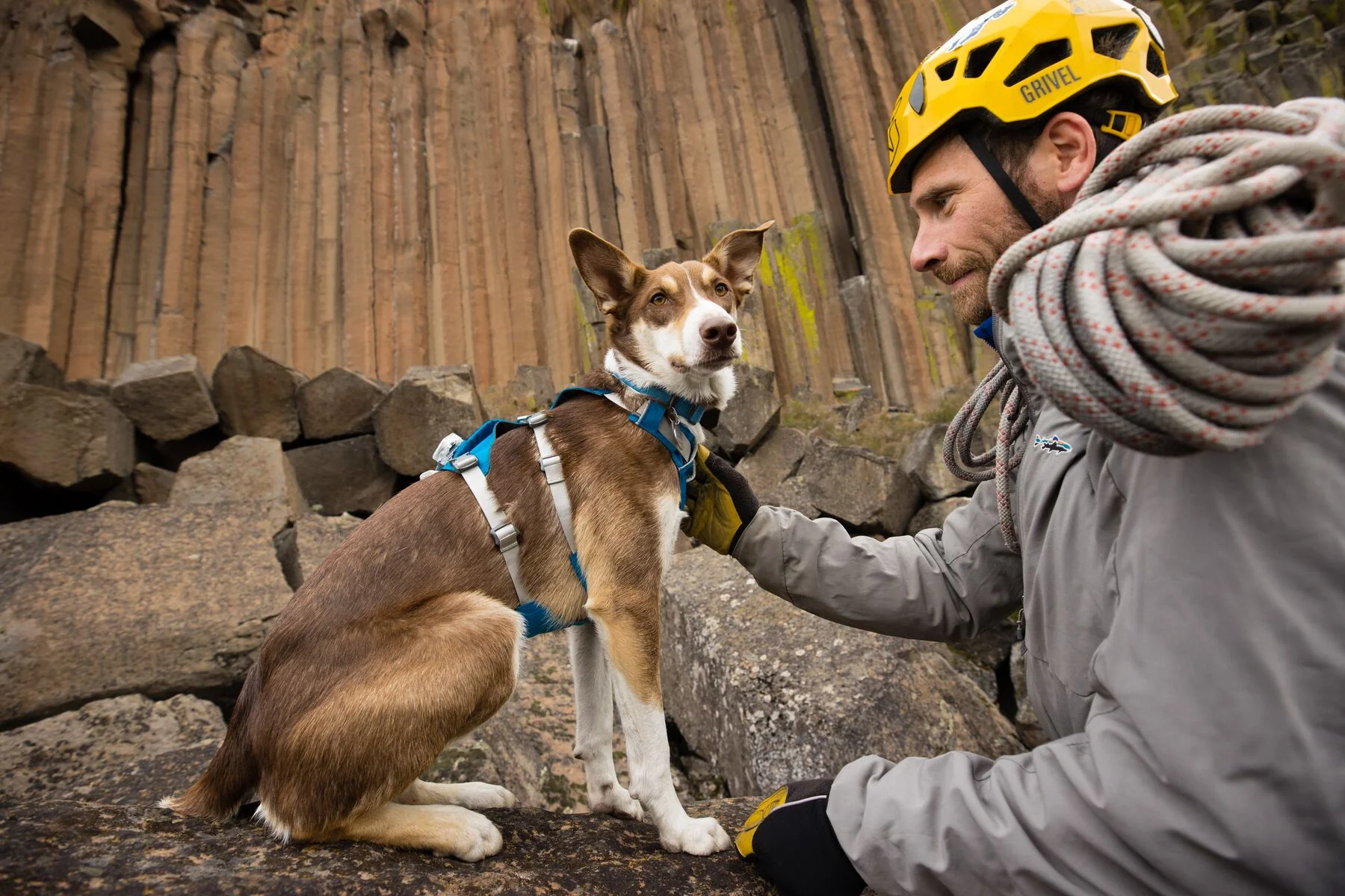 Imagen del producto 24