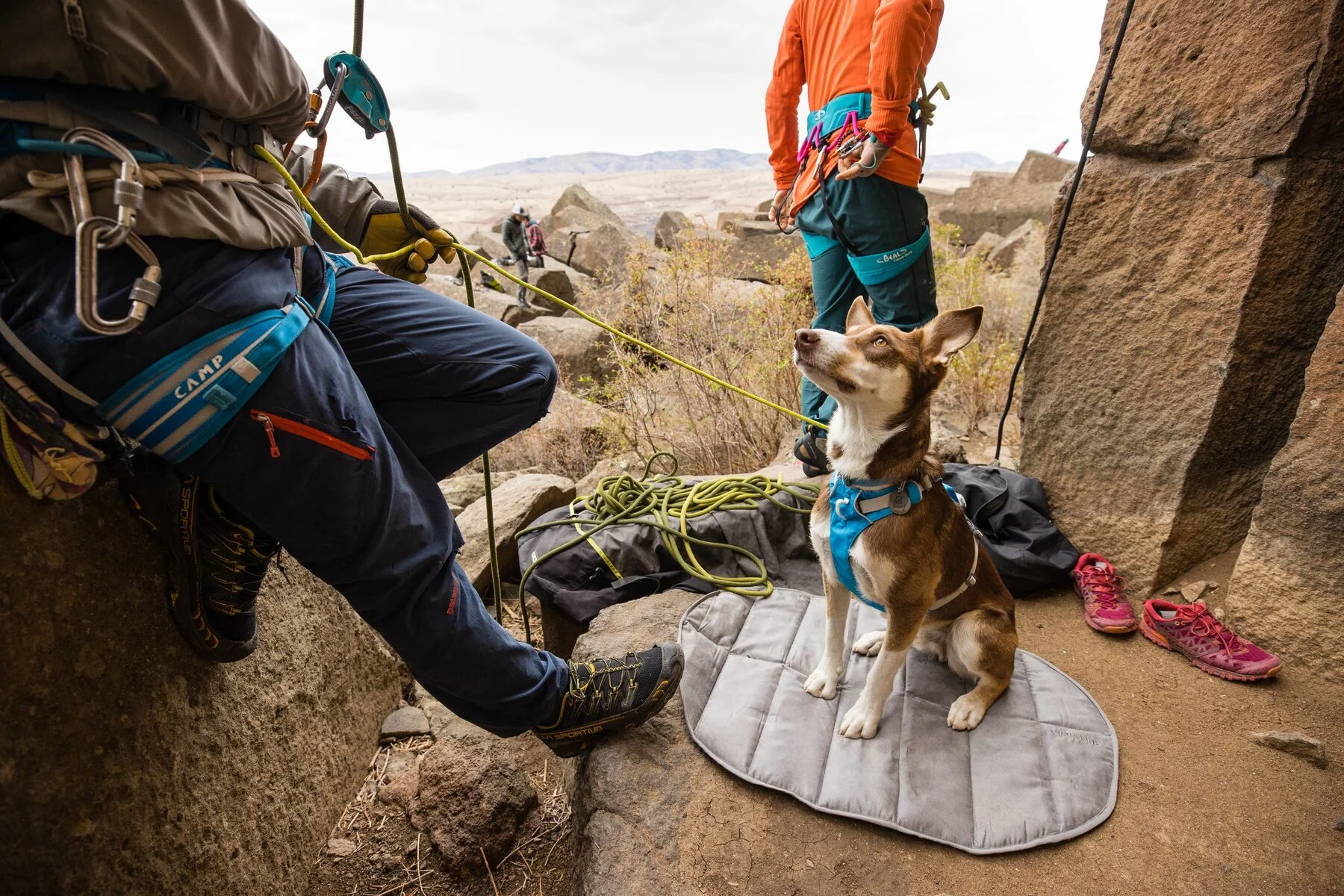 Imagen del producto 39