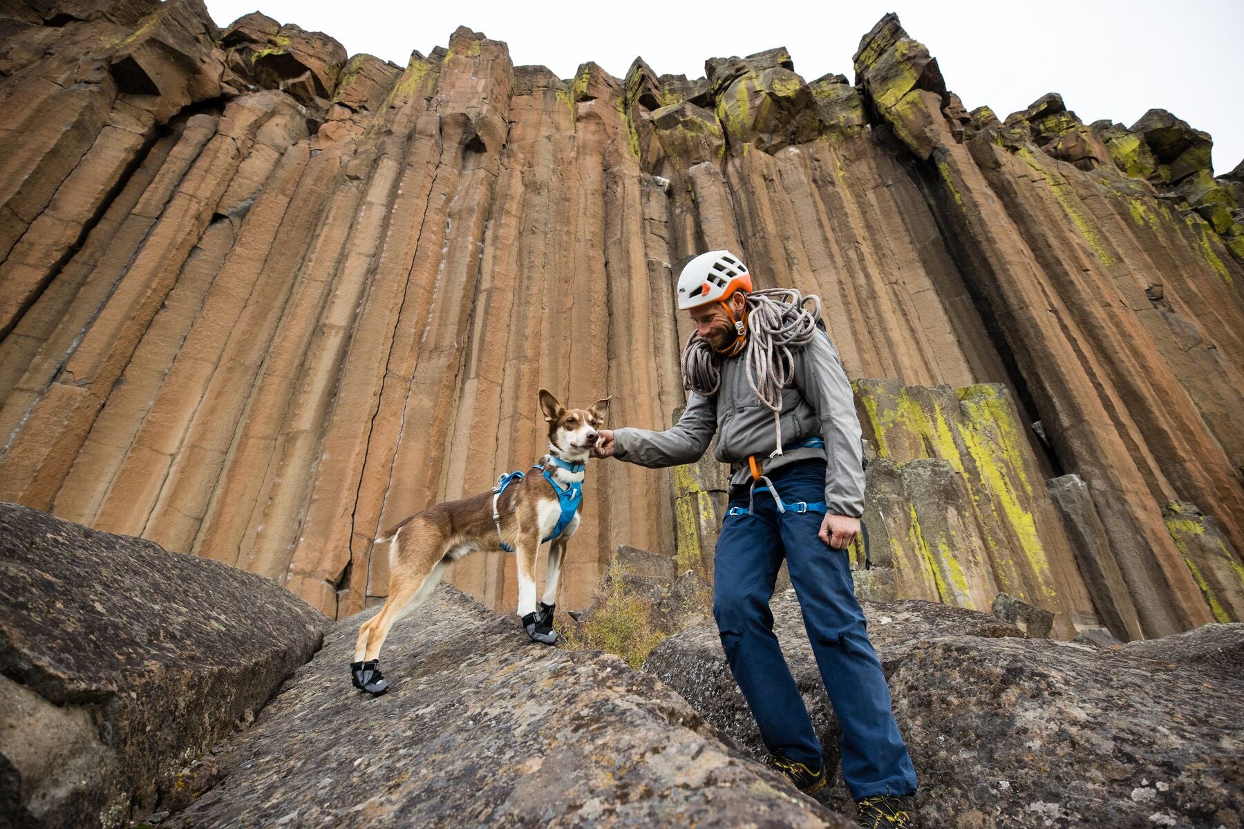 Imagen del producto 49