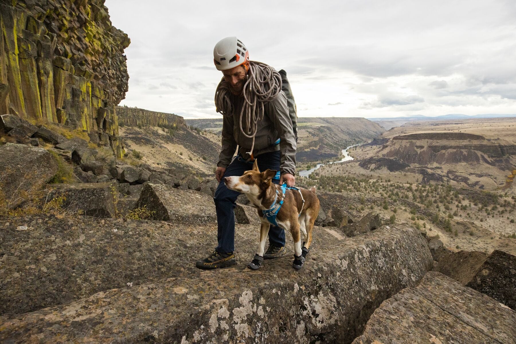 Imagen del producto 51