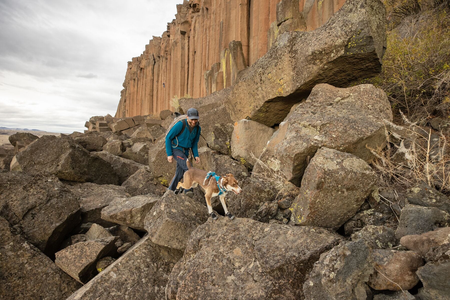 Imagen del producto 61