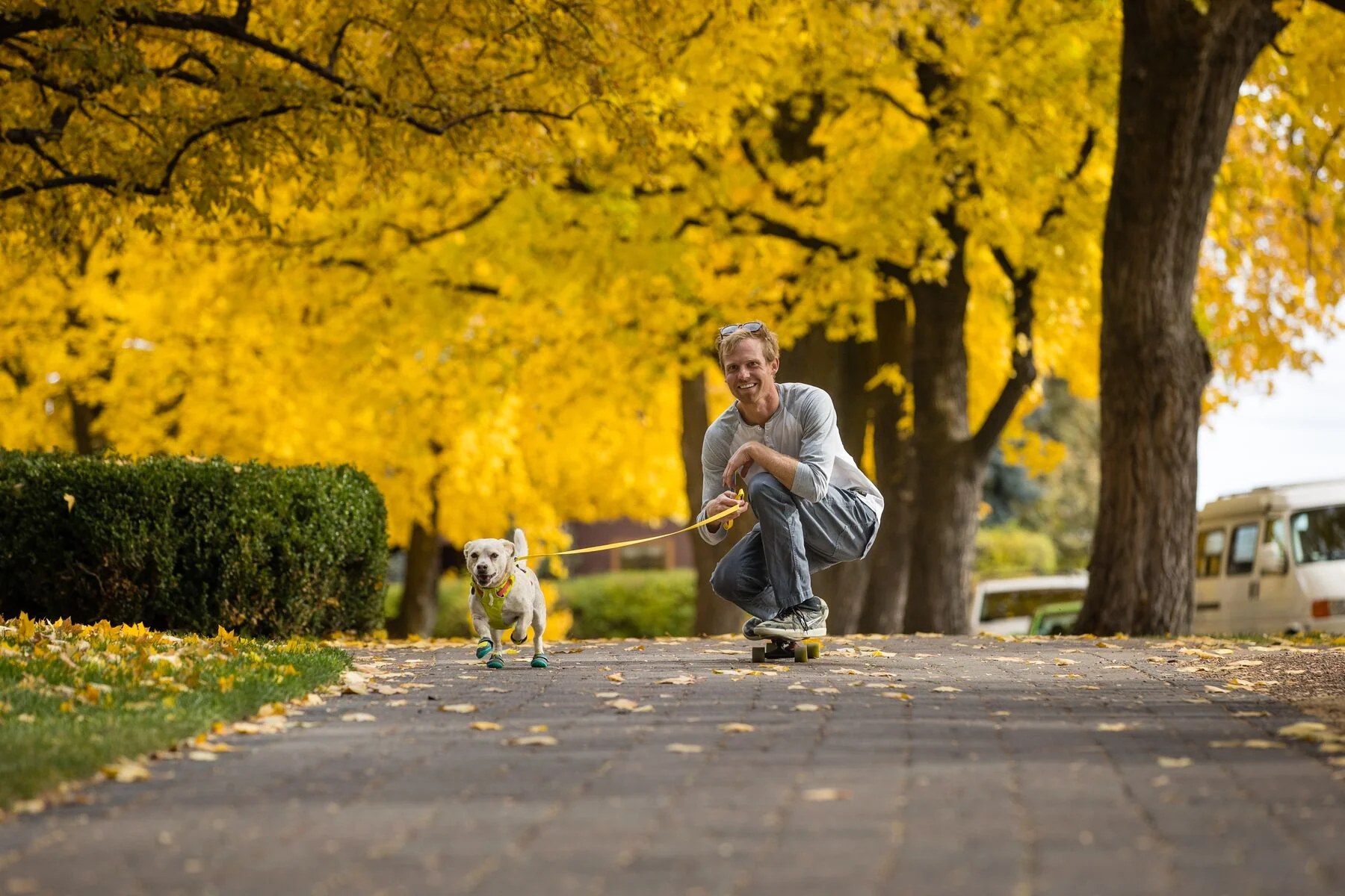 Imagen del producto 79