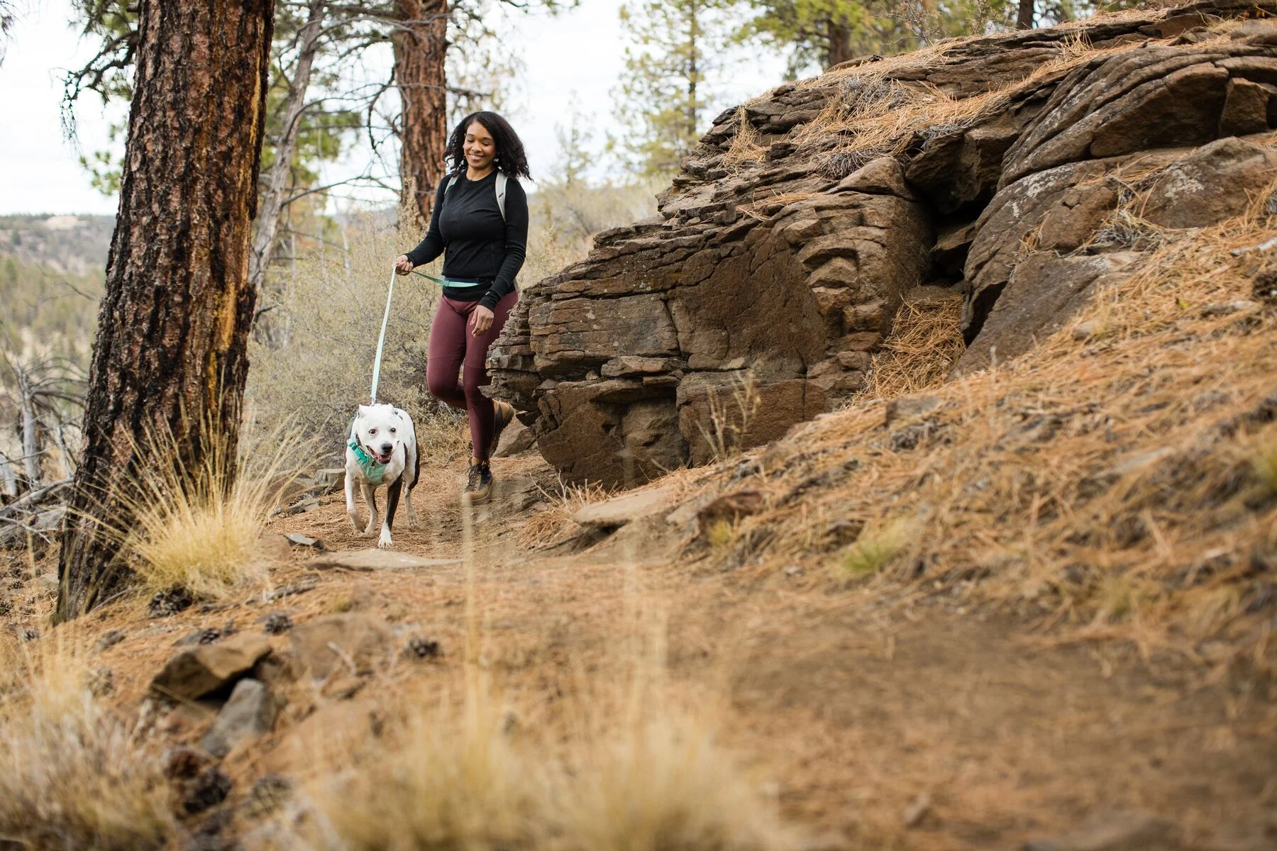 Imagen del producto 95