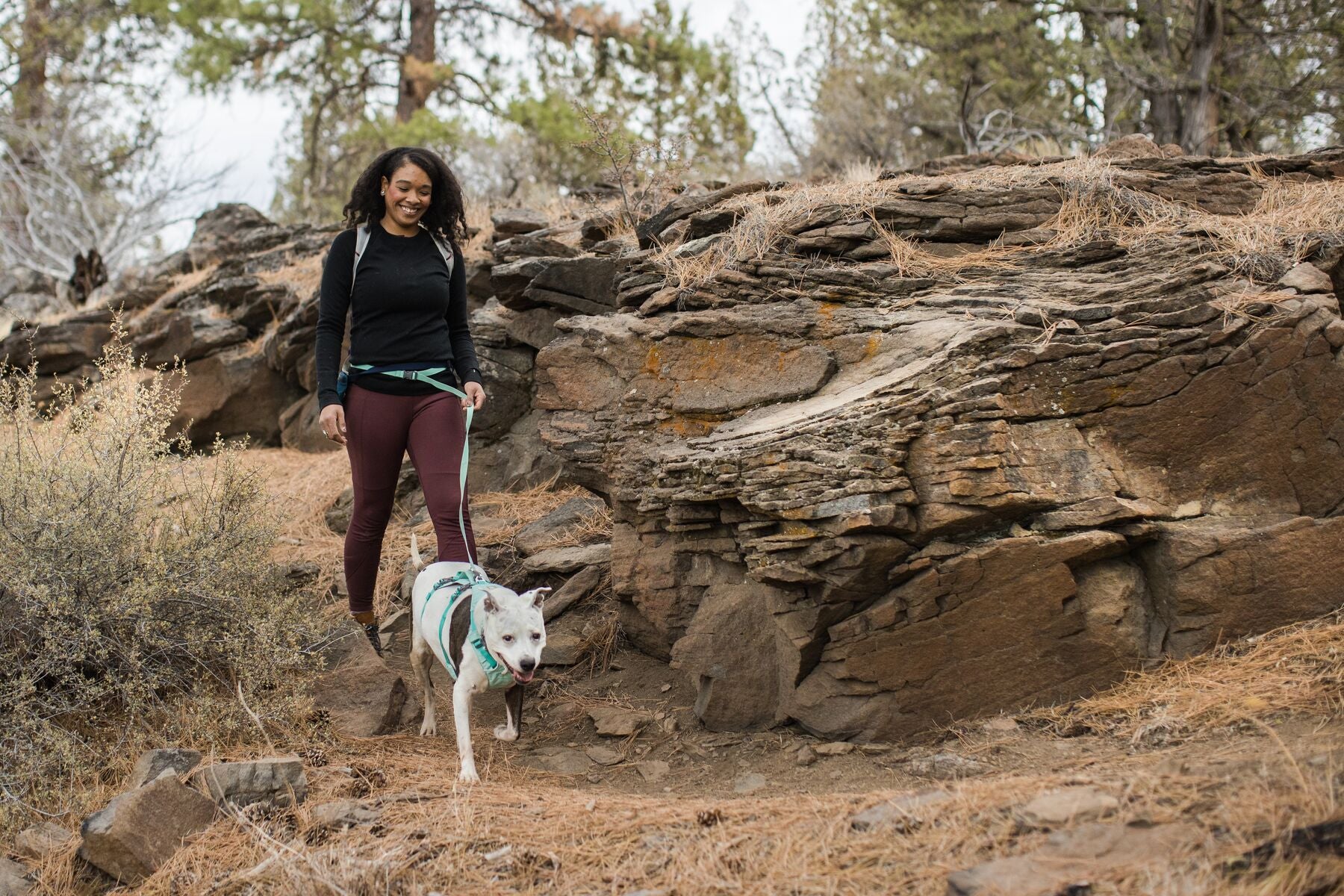 Imagen del producto 96