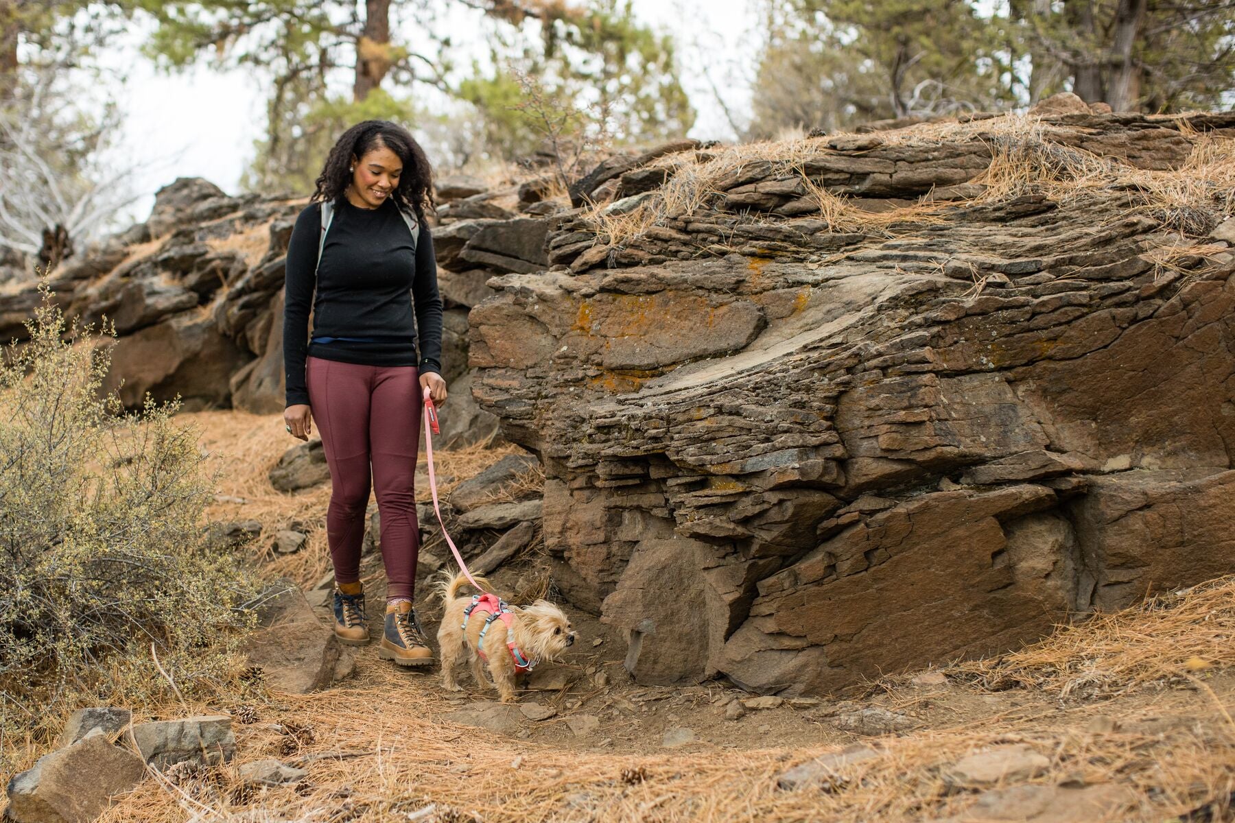 Imagen del producto 98