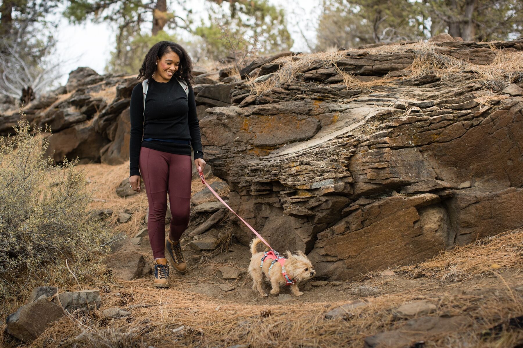 Imagen del producto 99